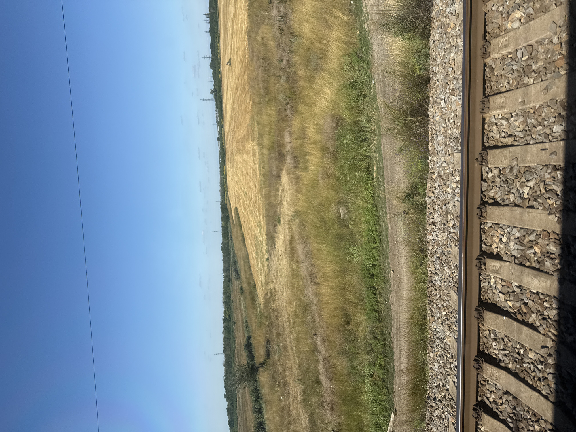 The image depicts a rural landscape with a clear blue sky. In the foreground, a set of train tracks runs horizontally across the frame. The tracks are laid on ballast, with concrete sleepers visible. Beyond the tracks, a field of dry, golden grass stretches into the distance. Further back, a harvested field with stubble is visible, interspersed with patches of green vegetation and trees. In the far distance, a line of trees forms the horizon, with several electrical pylons silhouetted against the sky. The scene appears to be located in the vicinity of Krasnyi Sad, Russia, suggesting a countryside setting with agricultural activity and infrastructure. There are no people or animals visible in the image. The overall impression is one of a sunny day in a rural, possibly agricultural, area.