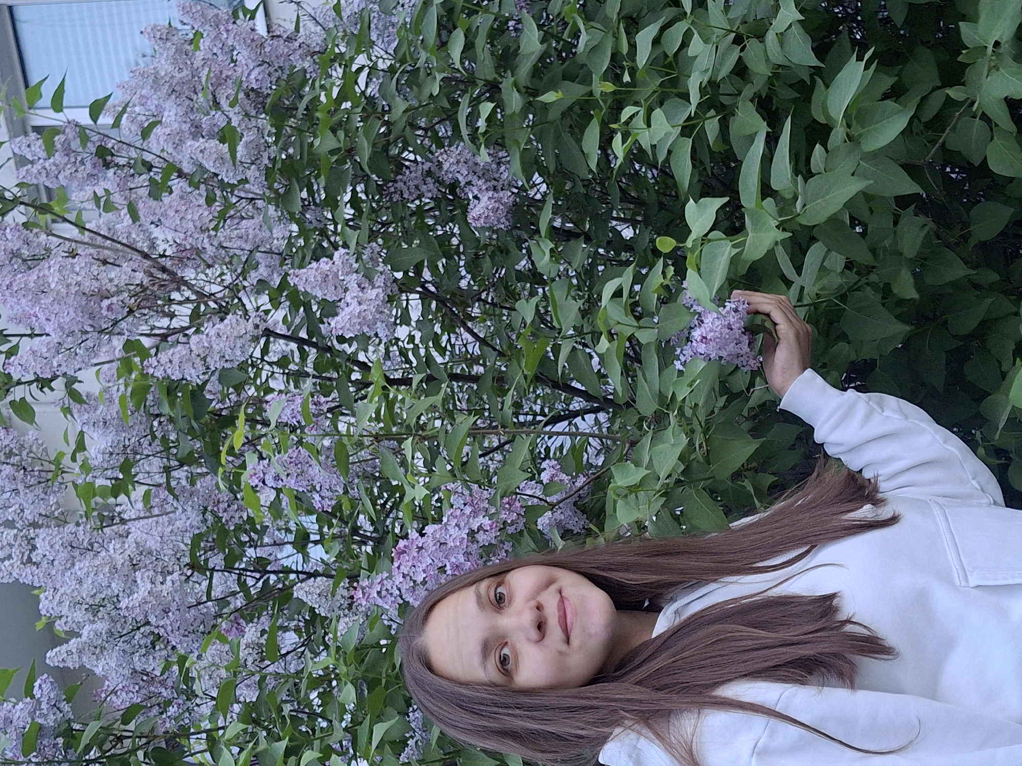 A woman poses for a photo in front of a flowering lilac bush, likely in Chaikovsky, Russia. She is wearing a white long-sleeved shirt. Her long brown hair is flowing down. She is smiling gently towards the camera. She is touching one of the lilac flowers with her right hand. Behind her is a large lilac bush with abundant light purple flowers and green leaves. A window is visible in the upper left corner, suggesting the bush is near a building. The image is rotated to the right.