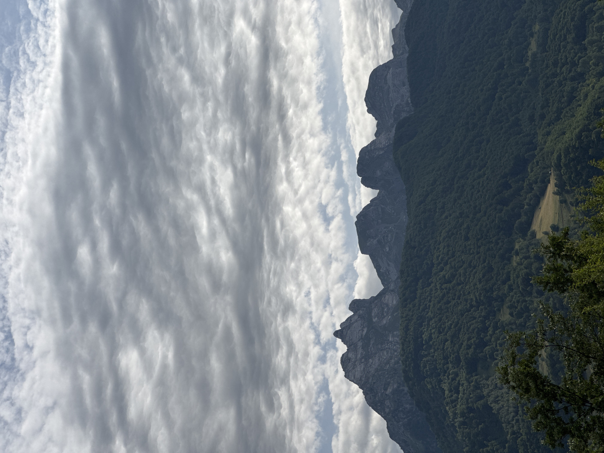The image shows a mountain range covered in dense, dark green forest. The peaks of the mountains are rugged and rocky, with sharp, distinct shapes. Above the mountains, the sky is filled with a dramatic display of clouds. These clouds are varied, with some appearing dark and heavy, while others are lighter and more wispy, suggesting a dynamic weather system. The lighting is somewhat diffused, likely due to the cloud cover, casting subtle shadows across the landscape. In the foreground, the tops of some trees are visible, adding a sense of depth to the scene. The overall impression is one of a wild and imposing natural landscape. This image captures the natural beauty of the mountains near Dragovića Polje, Montenegro.