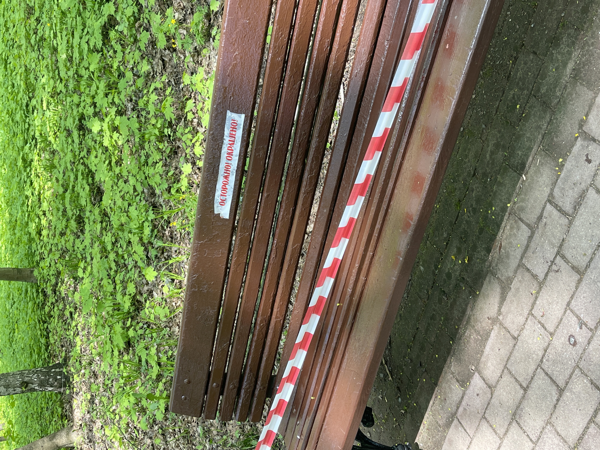 A wooden park bench in Moscow, Russia, is cordoned off with red and white striped tape, and a sign in Russian reading "ОСТОРОЖНО! ОКРАШЕНО!" (CAUTION! PAINTED!). The bench appears to be freshly painted brown. The setting is a park or green area, with grass and foliage visible to the left of the bench and a brick path to the right.