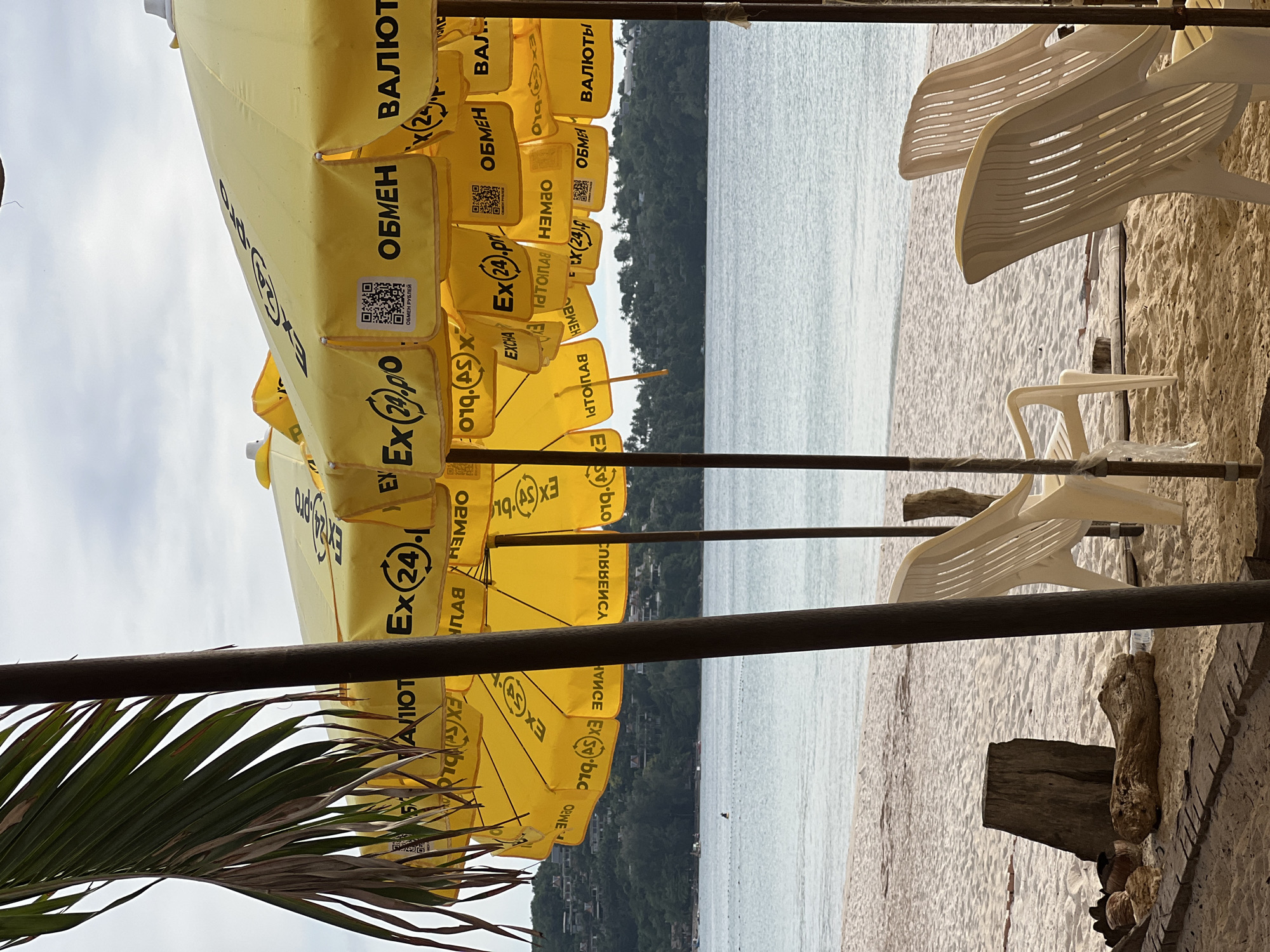 Here's a detailed description of the image:
The image depicts a beach scene with several elements. In the foreground, there's a partial view of a palm tree frond on the left. A series of yellow beach umbrellas with the words "EX (24) p.ro" and "ОБМЕН" are prominently featured, obscuring part of the background. The text seems to be advertising currency exchange services ("ОБМЕН" translates to "Exchange"). QR codes are visible on the umbrellas.
In the background, there's a view of the sea, with a tree-covered coastline visible in the distance. Two white plastic chairs are seen on the right side of the image, on what appears to be a sandy beach. The scene is framed by dark posts or poles that appear to be part of a structure. The image is taken from a slightly elevated or sheltered location, giving a view out onto the beach and the sea. The location information suggests that the scene is in an unknown part of an unknown city.
