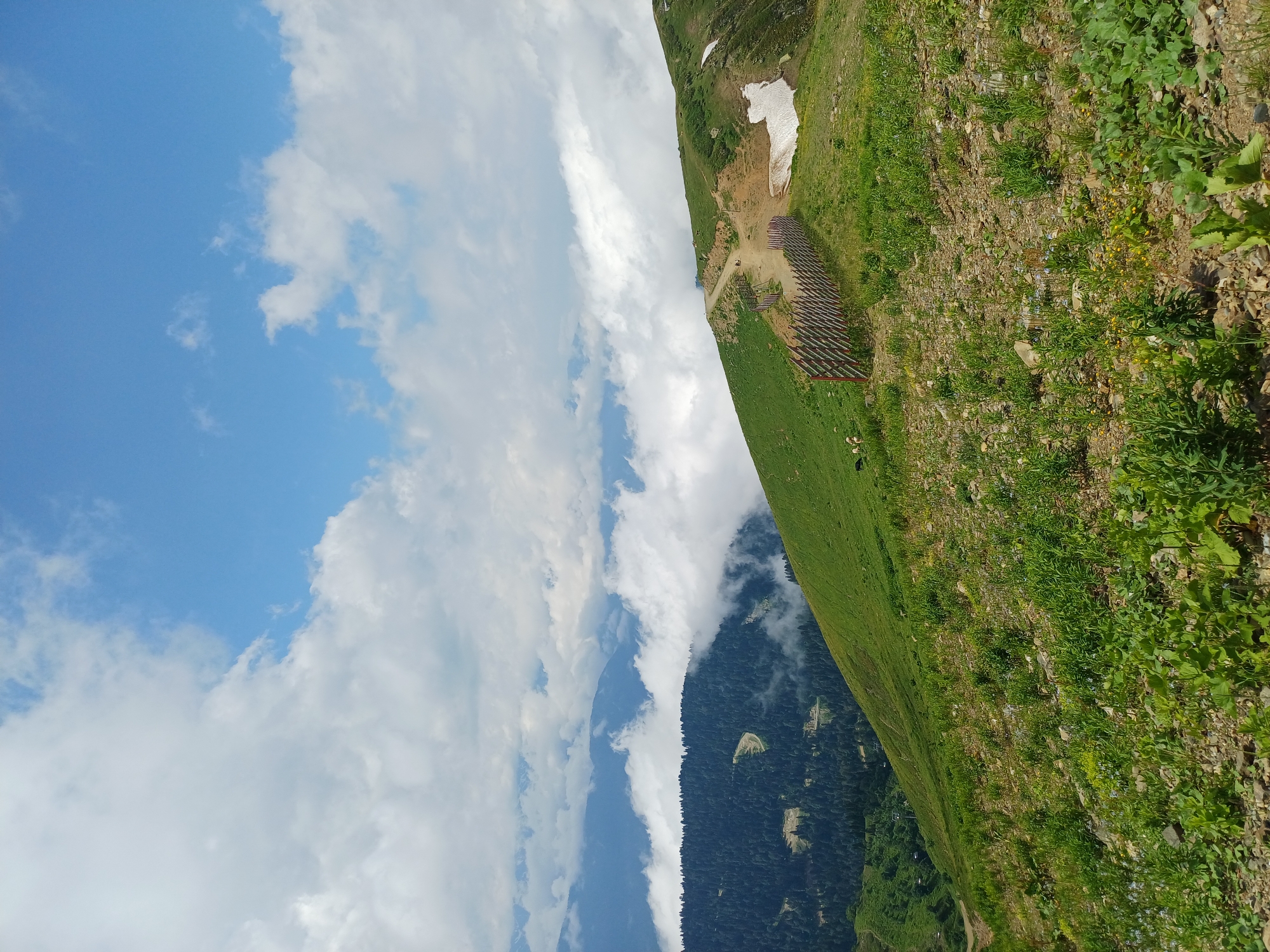 The image depicts a mountain landscape in Estosadok, Russia, under a partly cloudy sky. In the foreground, a steep, grassy slope is covered with rocks and vegetation. A dirt path winds up the slope, bordered by a wooden fence. Further down the mountain, a dense forest of dark green trees covers the landscape, with patches of fog or clouds interspersed between the trees. In the distance, several layers of mountains are visible, receding into the hazy atmosphere. A small patch of snow is visible on the upper right portion of the grassy slope. There are a few sheep grazing on the grass near the fence, and a black animal, possibly a dog, is also present. A single person can be seen walking on the dirt path. The overall scene is one of natural beauty, with a focus on the vastness of the mountains and the lush greenery of the slopes.