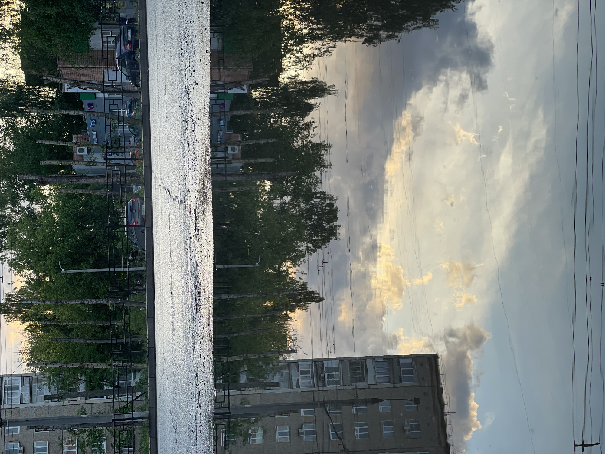 The image depicts a wet urban street in Izhevsk, Russia, reflecting the sky and surrounding buildings. A row of birch trees lines the road, with reflections of clouds and power lines visible in the water-covered asphalt. A gray apartment building is reflected in the puddle, along with vehicles and street signs. The overall scene suggests a recent rainfall and an overcast sky.