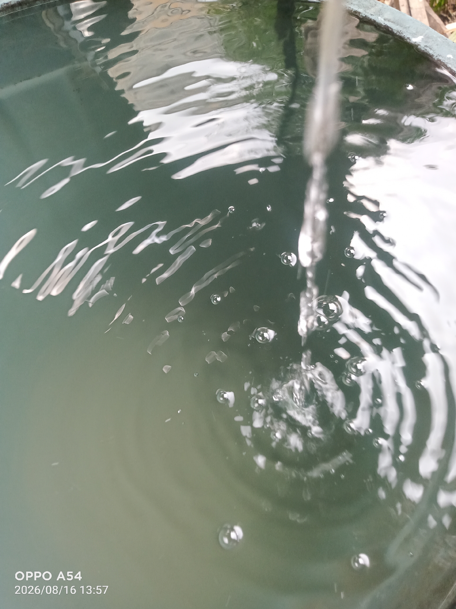 The image shows a close-up view of water being poured into a container, creating ripples and bubbles. The water appears murky green, and reflections of light and possibly the surroundings are visible on its surface. A thin stream of water is descending from the top right corner of the frame, hitting the surface and causing visible disturbances. There are numerous small bubbles on the water's surface, particularly concentrated around the point of impact of the falling water. The edge of the container, a dark, rough material, is visible along the top and right side of the image. The timestamp "2026/08/16 13:57" and "OPPO A54" are overlaid in the bottom left corner, indicating the image was captured on August 16, 2026, at 1:57 PM, using an OPPO A54 phone. The context of Jambi, Indonesia is not visually discernible from the image itself.