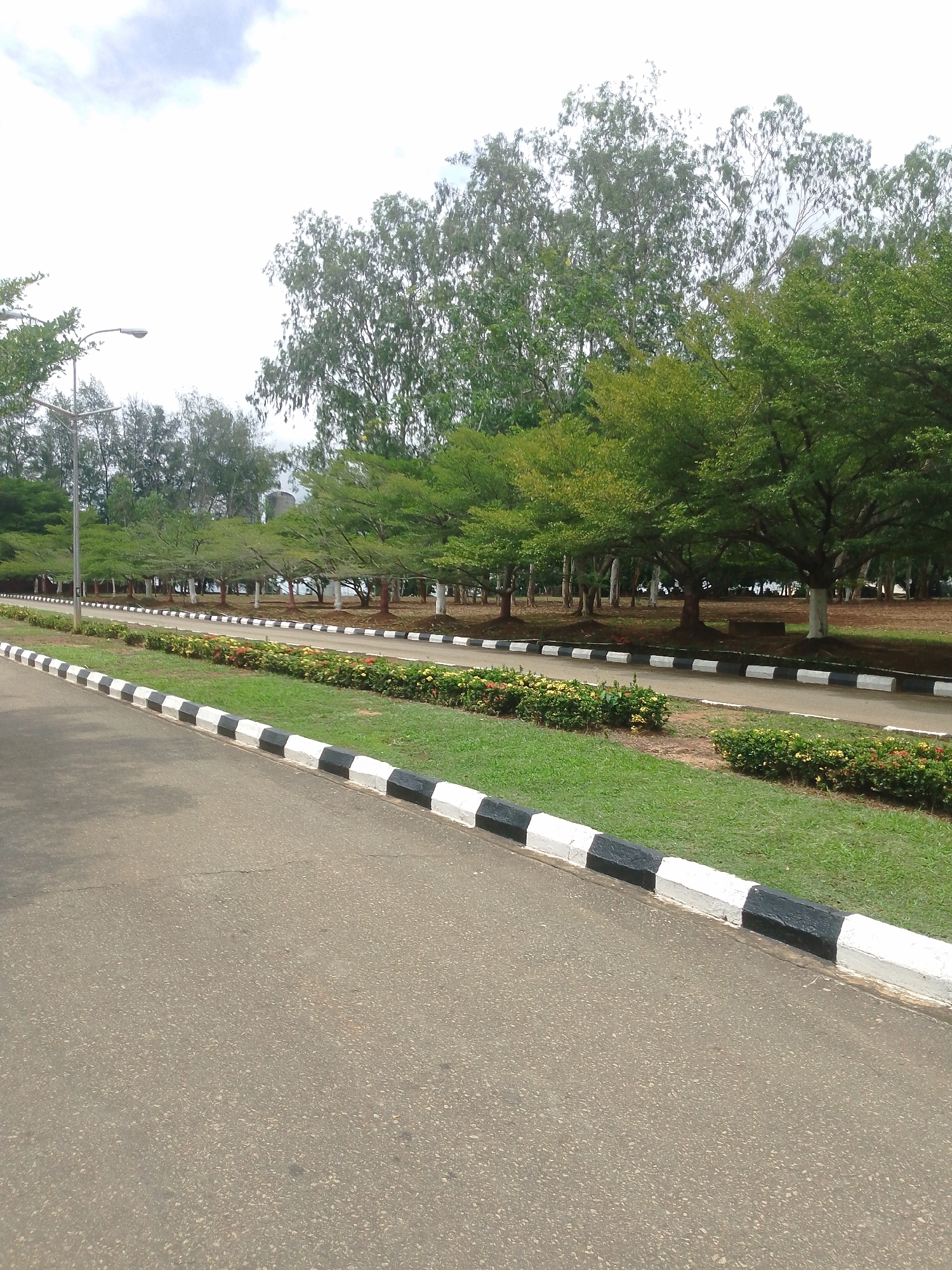 This is a medium shot of an asphalt road with a black and white striped curb bordering a manicured lawn. The lawn is lined with a flowerbed of red and yellow flowers, and behind the flowerbed is a row of trees with white trunks and green foliage. The trees are spaced evenly and form a canopy over the area. In the background, there are more trees and a cloudy sky. The scene appears to be in a park or a well-maintained public space in Agbani, Nigeria. There are no people visible in the image.