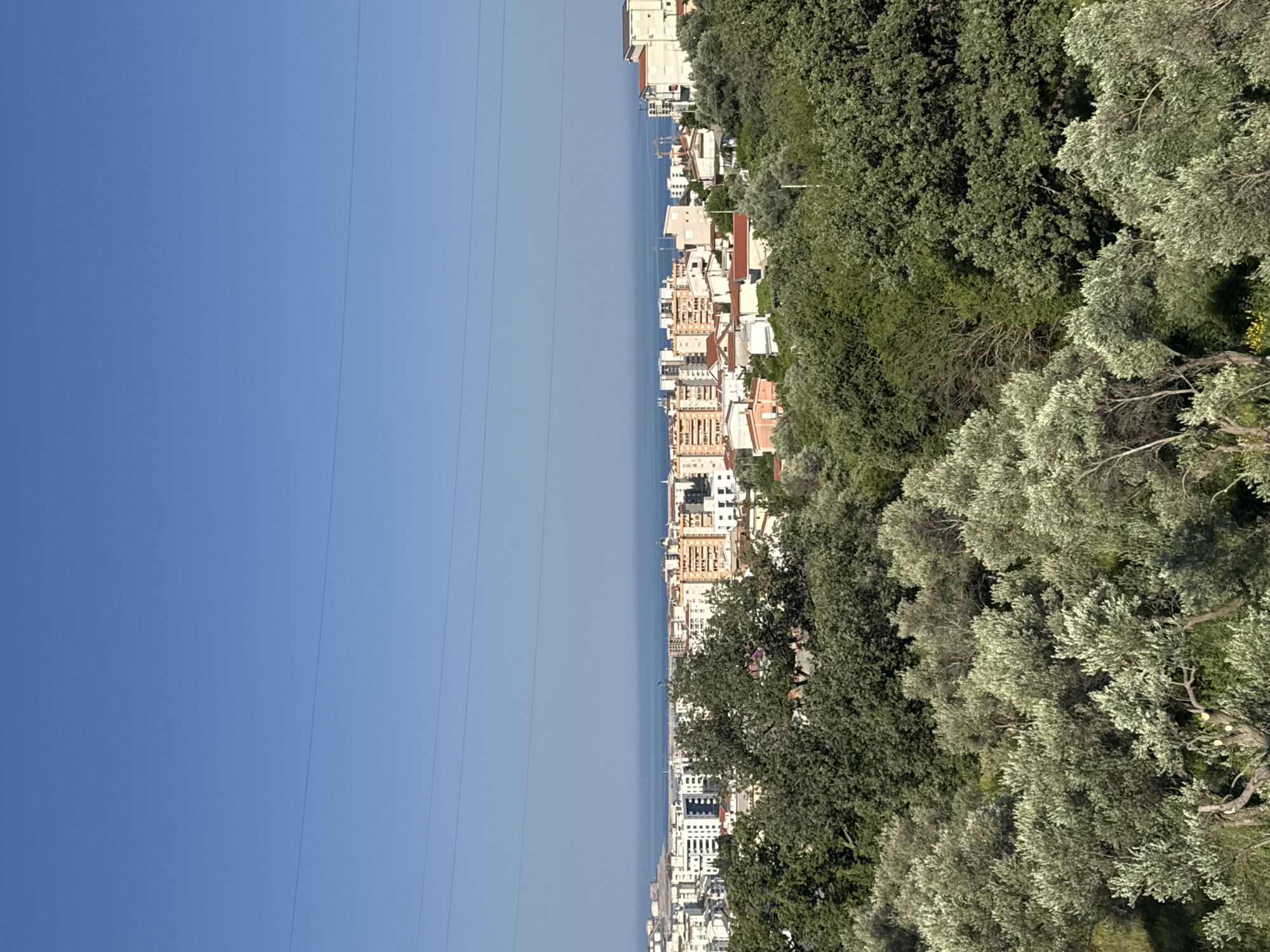 The image captures a panoramic view of the city of Sustaš, Montenegro, on a clear, sunny day. The foreground is dominated by lush green trees, with a prominent cluster of olive trees in the lower portion of the frame. Beyond the trees, the cityscape unfolds, featuring a dense collection of multi-story buildings with terracotta and white roofs. In the distance, the calm, blue sea stretches to the horizon, meeting a pale blue sky. A few power lines are visible crisscrossing the upper part of the image, silhouetted against the sky. The overall impression is one of a tranquil coastal town bathed in sunlight.