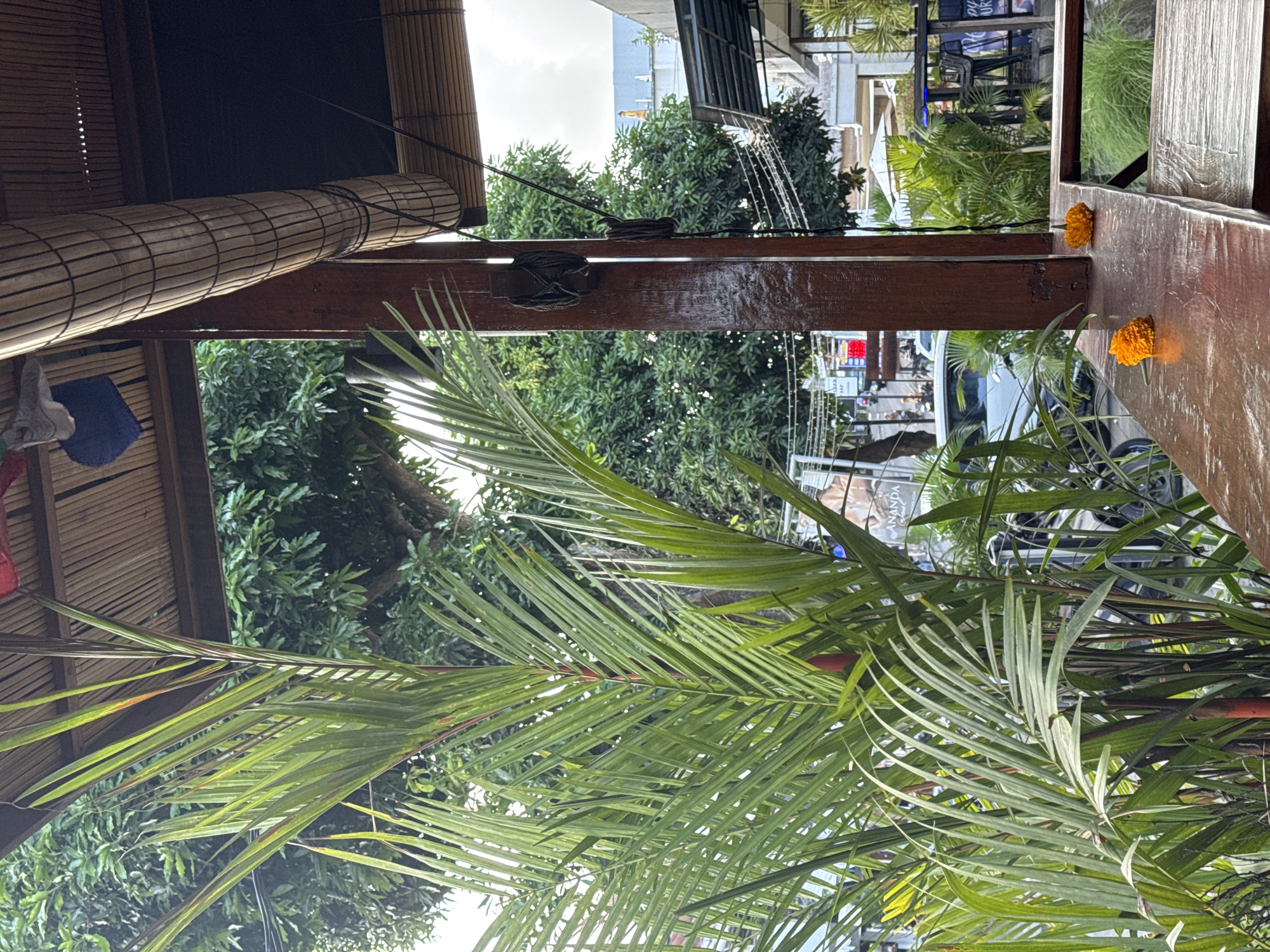 Here is a description of the image:
This is an eye-level, outdoor shot of what appears to be a restaurant or cafe setting in a city. The perspective is from beneath an architectural structure made of bamboo and wooden beams, framing the view of a busy city street beyond.
Dominating the foreground are the fronds of a large palm plant, extending across a significant portion of the frame. These fronds are a vibrant green, and the details of their individual leaves are clear.
The wooden structure above includes both bamboo matting and dark wooden beams. The construction has a rustic, handcrafted feel.
In the background, through the wooden frame, a bustling city scene unfolds. There are trees and foliage, buildings, a variety of signs and advertisements in what could be a commercial district.
On the right edge of the frame, part of a wooden table is visible, decorated with small orange flowers.
The scene suggests a location in a tropical or subtropical urban environment.