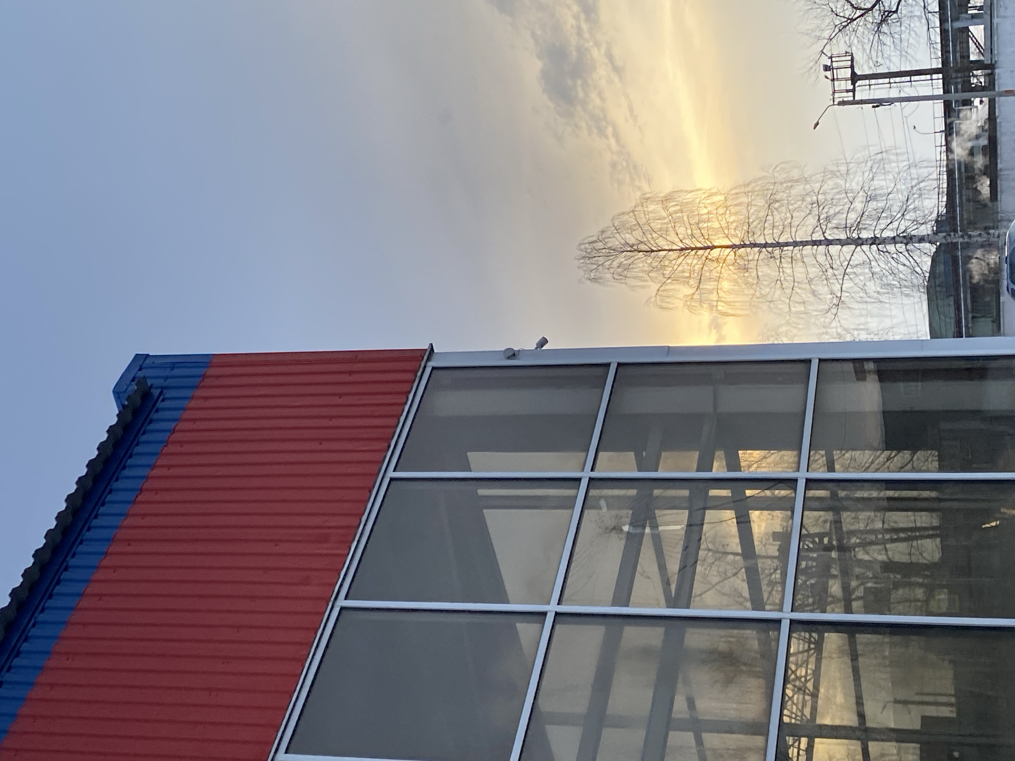 The image depicts a building with a red and blue roof and a large glass facade reflecting the sky, a bare tree, and nearby infrastructure. The location is Chaikovsky, Russia. The building appears to be modern, with a corrugated metal roof and large windows divided into rectangular panes. The sky is bright with the sun shining through clouds. A bare tree with thin branches is visible against the sky, partially obscured by the reflection on the building's glass facade. Power lines and other infrastructure elements are also visible in the background. No people are visible in the image.