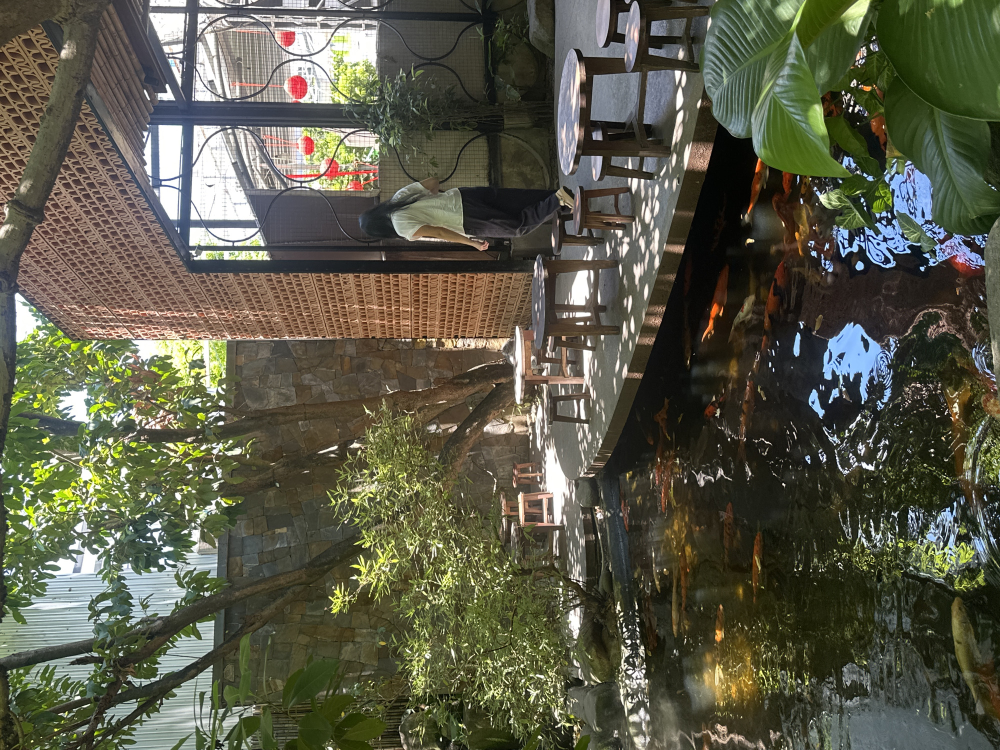 The image depicts an outdoor seating area at what appears to be a cafe or restaurant in Đà Nẵng, Vietnam. The scene is characterized by a koi pond in the foreground, filled with numerous orange and white koi fish swimming. Adjacent to the pond is a concrete platform with several small, round wooden tables and stools. A woman wearing a light-colored t-shirt and dark pants is walking on this platform. Behind the seating area, a building with a distinctive brick lattice facade is visible. Trees and foliage are present throughout the scene, casting dappled shadows on the ground. In the background, there are hints of red lanterns and ornate metalwork, suggesting a decorative element or cultural influence. The overall atmosphere is that of a tranquil, nature-infused urban space.