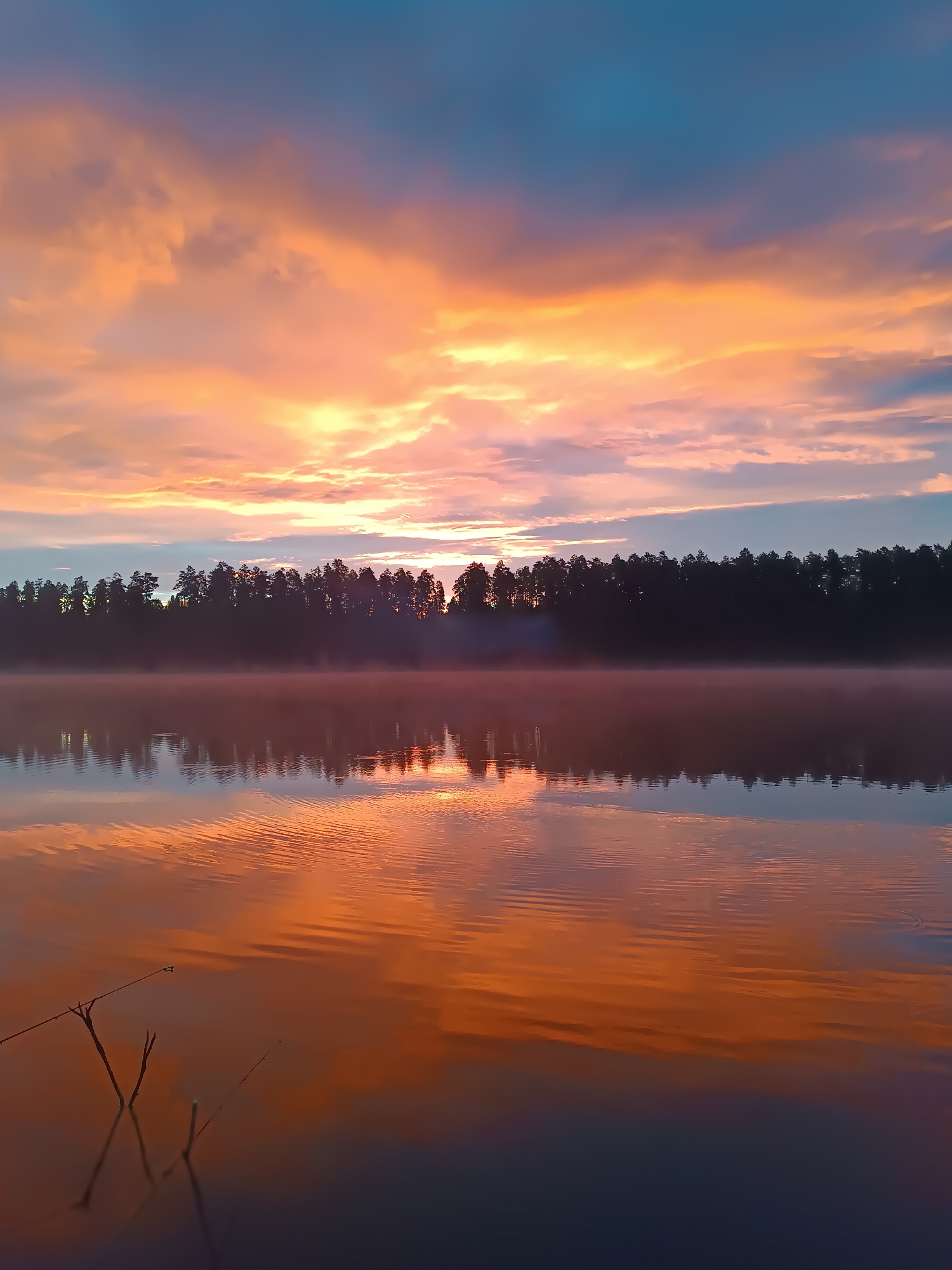 This is a vertical, eye-level, full shot of a serene lake at sunrise in Opary, Russia. The sky is a gradient of colors, with a vibrant orange and yellow sunset reflected in the calm water. A dark line of trees borders the far side of the lake, with mist clinging to the water's edge. The foreground features two thin, dark branches emerging from the water. The scene is tranquil and unpopulated, highlighting the natural beauty of the landscape.