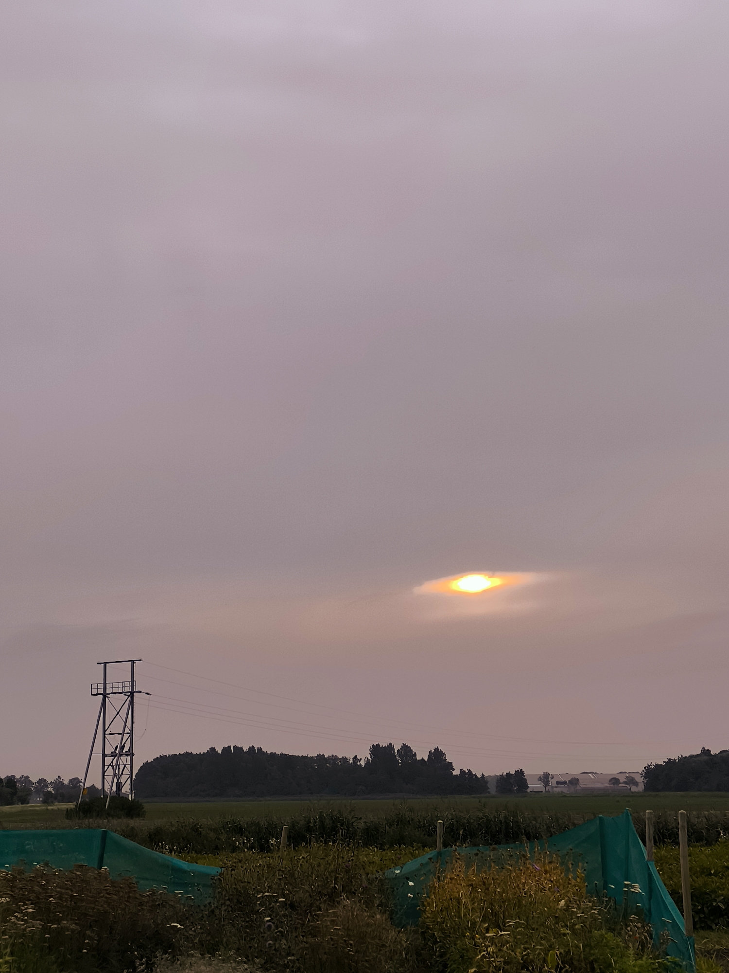 The image depicts an atmospheric optical phenomenon, likely a sun dog, visible in a hazy sky over a rural landscape in Andijk, Netherlands. The sun appears as a bright, yellow-orange orb surrounded by a halo of iridescent colors, diffused by clouds. In the foreground, a dark silhouette of a power pylon stands to the left, with power lines stretching across the frame. The middle ground is occupied by a field with rows of crops, possibly corn, and a dark line of trees in the distance. A bright green mesh structure is present in the lower portion of the image, partially obscuring some vegetation. The overall scene is characterized by a muted, twilight-like color palette.