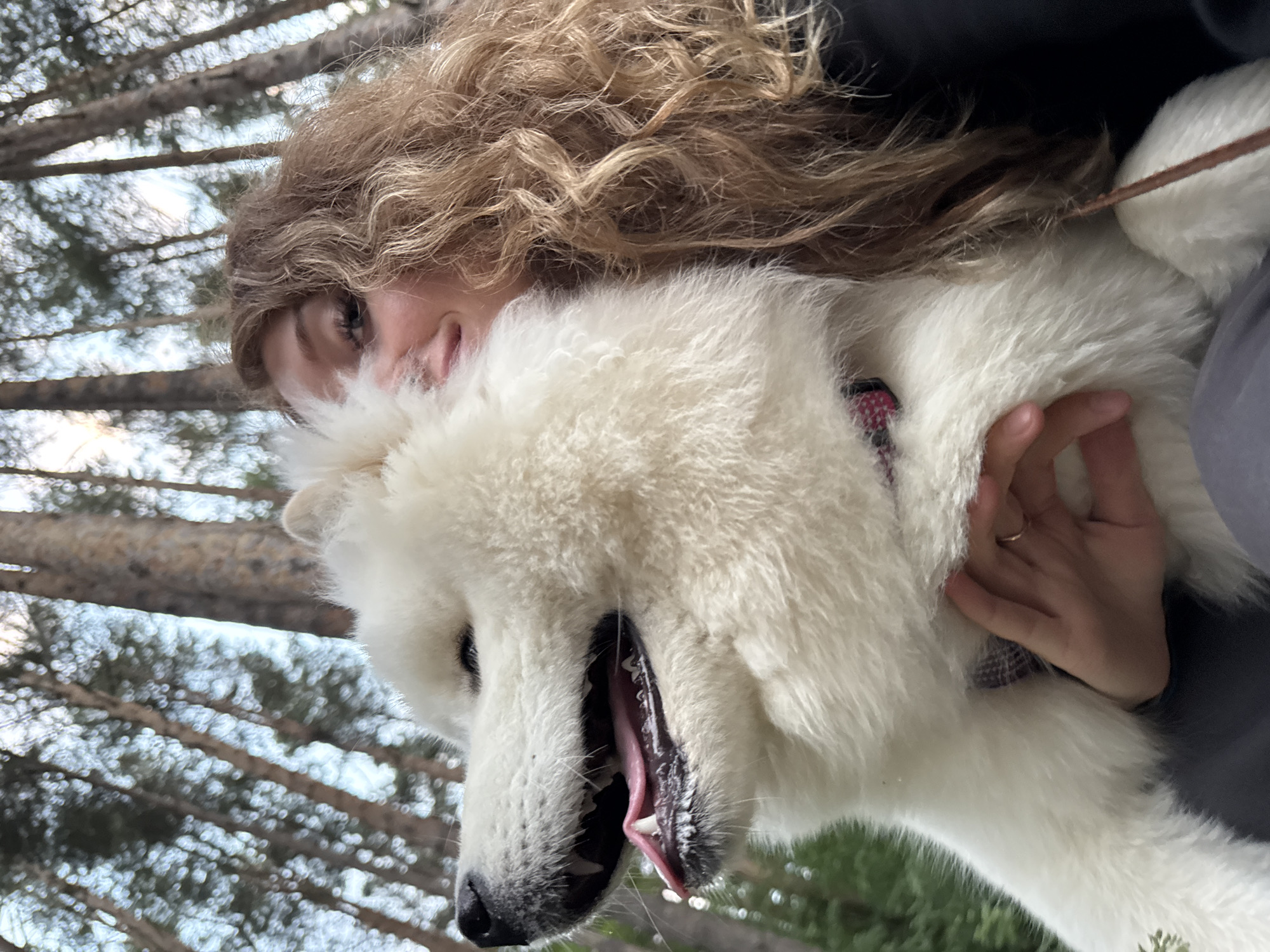 A person and a white dog are in a forest. The person is on the right side of the frame, with their head leaning into the dog's neck. The dog is on the left side of the frame, facing left with its mouth open and tongue out. The dog is fluffy and white. The person has long, curly brown hair. The background consists of tall trees with a cloudy sky above. The overall lighting suggests it is daytime. The location in the city of Chaikovsky, Russia, is not identifiable from the image.