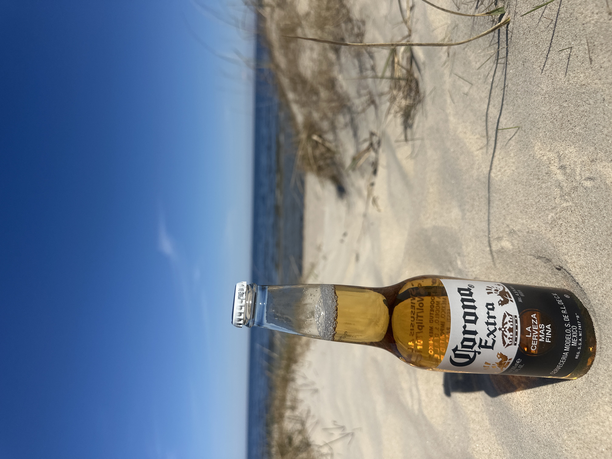 A bottle of Corona Extra beer lies on a sandy beach. The beer bottle is oriented horizontally, with the bottle cap facing towards the sky. The background consists of the sea and sky. The sand appears to be coarse and light-colored. There are some dry, thin blades of grass near the beer bottle. The image does not depict Zīvartiņš, Latvia.