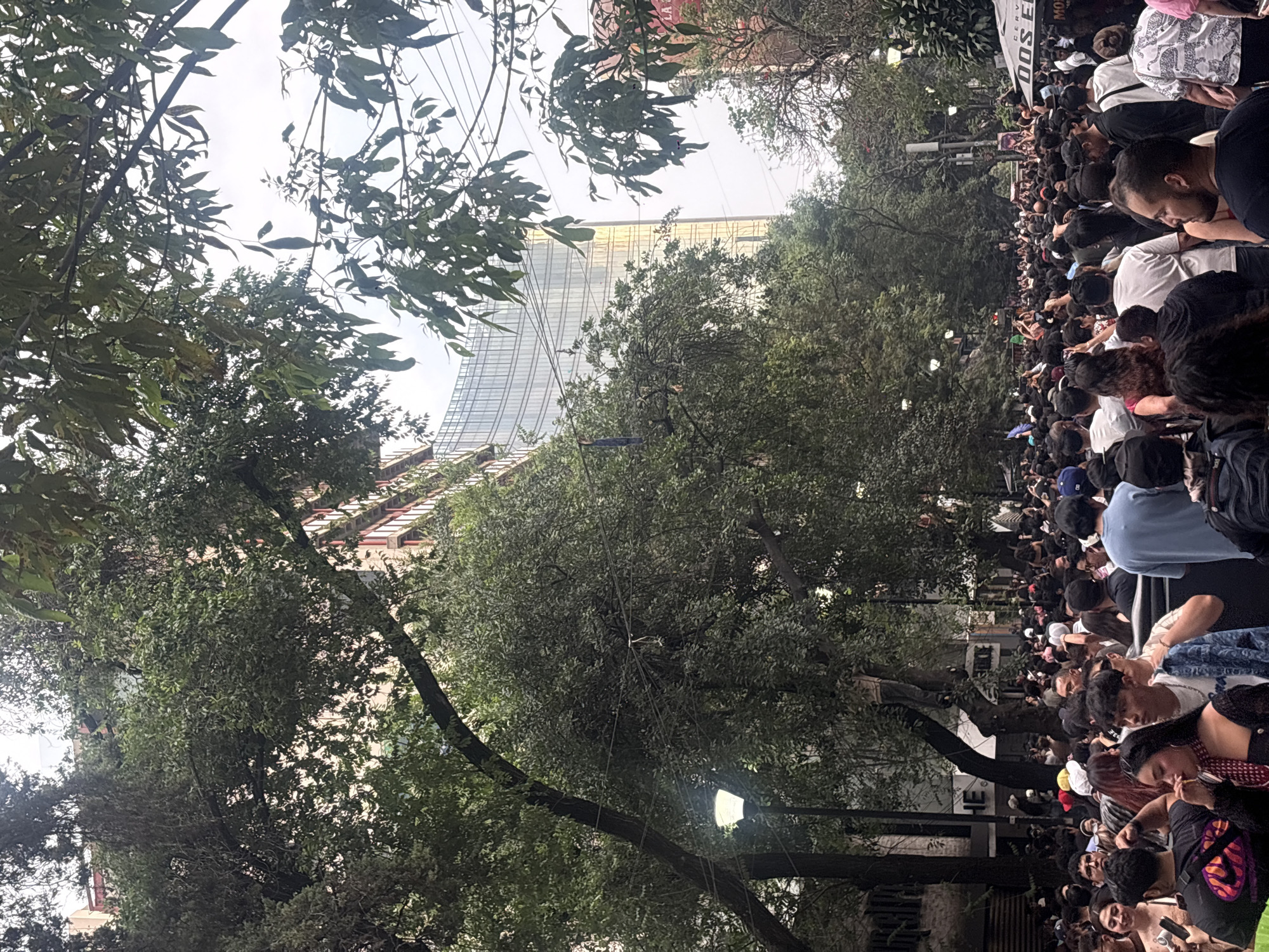 The image captures a dense crowd of people gathered on a street in Mexico City, Mexico. Tall trees line the street, partially obscuring a tall, modern glass building in the background. The crowd appears to be primarily composed of young adults, many of whom are casually dressed. A large "DOS EQUIS" banner is visible at the edge of the crowd. There is a light post among the trees.