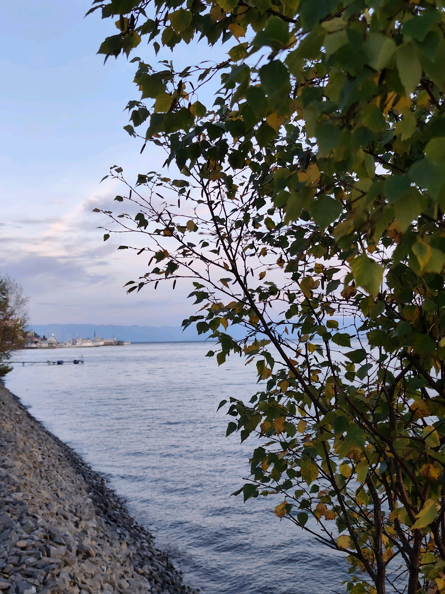 The image depicts a serene lakeside scene in Listvyanka, Russia, with a tree in the foreground and a body of water stretching towards the horizon. The tree, with its branches laden with green and yellowing leaves, is positioned on the right side of the frame, partially obscuring the view of the water and the distant landscape. The lake's surface is rippled, reflecting the soft hues of the twilight sky, which is a blend of pale blue and soft pinks, with wispy clouds.
The left side of the image features a shoreline covered in small, gray stones, creating a textured contrast with the smooth water. In the distance, across the lake, a cluster of buildings and several boats are visible, suggesting a small settlement or port. The background is dominated by a hazy mountain range, silhouetted against the fading light. The overall atmosphere is tranquil and evokes a sense of peacefulness, characteristic of a lakeside town during dusk.