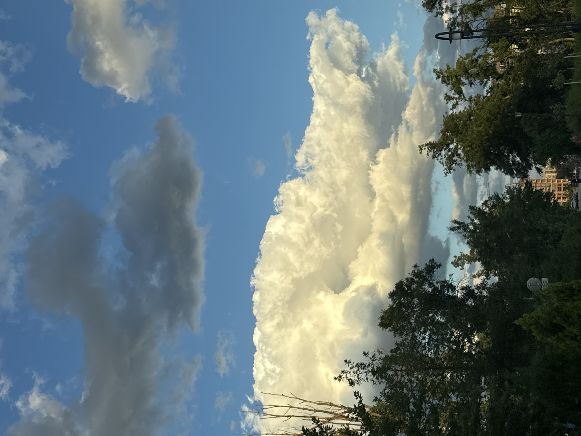 The image captures a view of the sky over Plovdiv, Bulgaria, dominated by a dramatic cloud formation. A large, fluffy cumulus cloud, brightly illuminated by sunlight, stretches across the mid-ground. Above it, darker, more diffused clouds drift against a vibrant blue sky. The lower portion of the image shows a line of dense green trees, with a few bare branches visible on the left. In the background, glimpses of urban architecture, including buildings and construction cranes, are visible between the trees. The lighting suggests it is either late afternoon or early evening, with the sun casting a warm glow on the clouds. There are a few indistinct figures and vehicles on a road in the far distance, and a lamppost is visible on the right side.