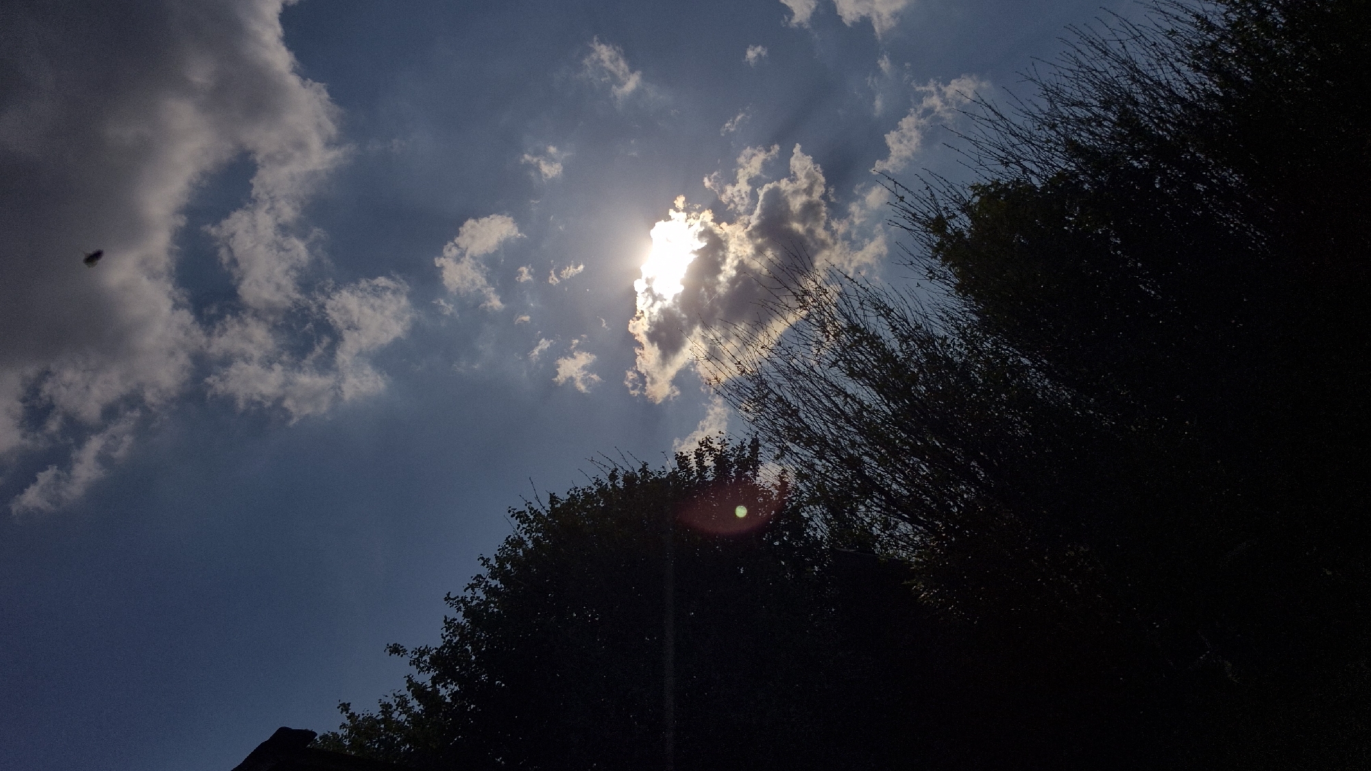 A low-angle, vertical shot captures a sky scene with clouds, the sun, and silhouettes of trees. The sky is a deep blue, with scattered white and gray clouds. The sun is partially obscured by a cloud, creating a bright flare and visible sunbeams. In the foreground, the dark silhouettes of trees and branches fill the lower portion of the frame, obscuring the ground and any context of the location being Новостройка, Russia. The overall lighting suggests late afternoon or early evening. There are no people or discernible objects other than the natural elements.