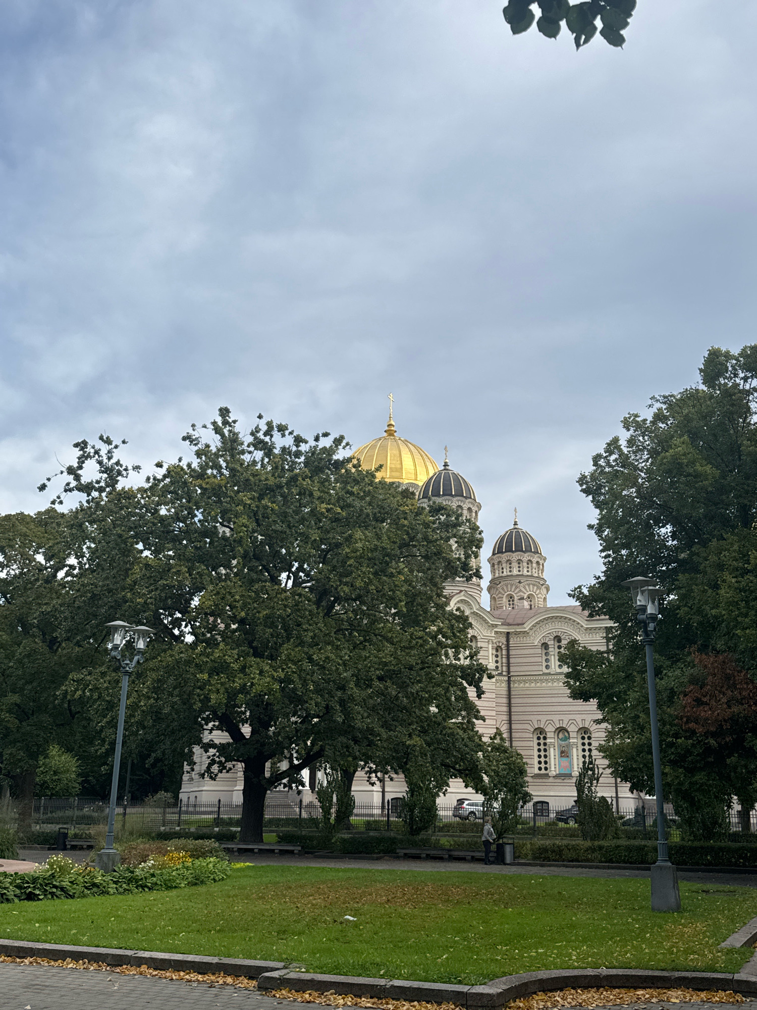 The image depicts the Nativity of Christ Cathedral in Riga, Latvia. A large, mature tree with dense green foliage dominates the left foreground, partially obscuring the view of the cathedral's golden dome and several smaller domes. The cathedral itself is a light-colored building with a classical architectural style, featuring decorative details and arched windows. A person is standing near a trash can in the middle ground, and a street lamp is visible in the right foreground. The ground in front of the cathedral is a manicured lawn with some fallen leaves on the paved walkway. The sky is overcast with a muted, gray appearance.