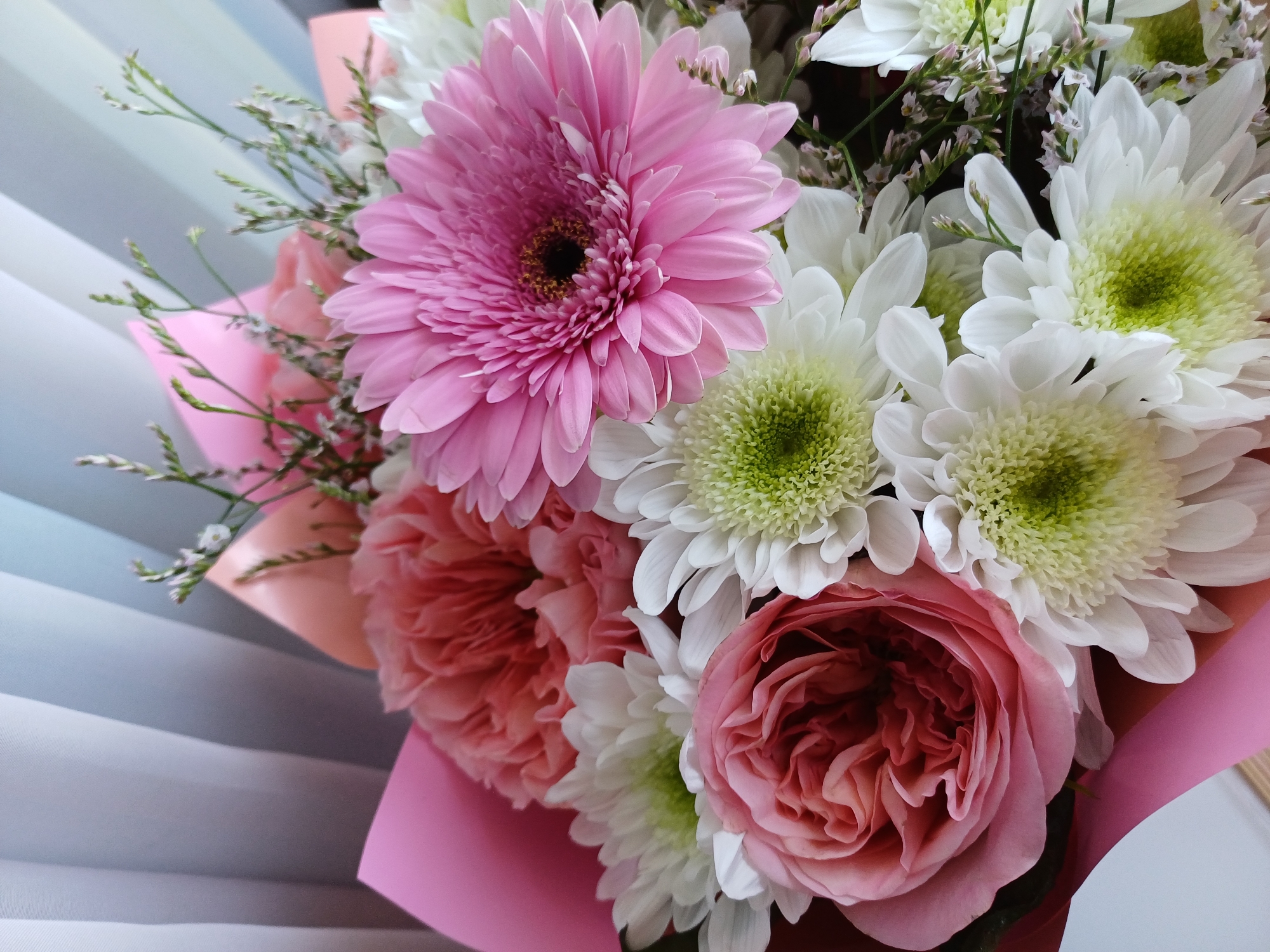 The image is a close-up of a bouquet of flowers, with a focus on the vibrant colors and textures of the blossoms. The bouquet is artfully arranged and features a variety of flowers, including a large pink gerbera daisy, delicate white chrysanthemums with light green centers, and several pink roses. The roses appear to be lush and full, with many petals layered in a classic bloom. Small, wispy sprigs of greenery and delicate white flowers are interspersed throughout the arrangement, adding depth and texture. The bouquet is partially wrapped in pale pink and peach paper.
The background consists of what appears to be a set of horizontal blinds, with alternating light and shadow, suggesting an indoor setting near a window. The lighting is soft and diffused, highlighting the delicate features of the flowers without harsh shadows. There is no discernible activity or event taking place, other than the presentation of the bouquet itself. The emotions conveyed are primarily one of beauty and freshness. No visible text is present in the image.