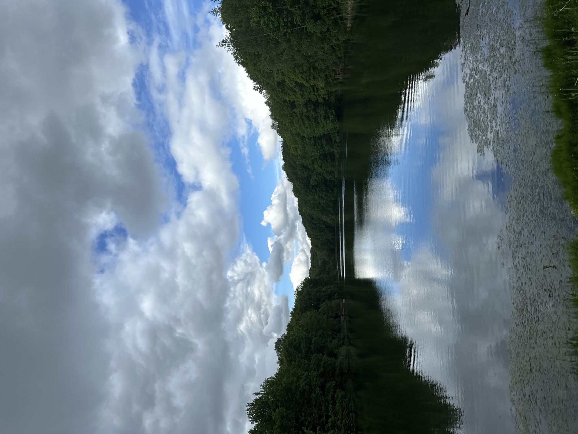 The image depicts a body of water, possibly a lake or wide river, framed by dense green trees on both sides, reflecting in the water. The sky is partially obscured by heavy, grey clouds on the left side, contrasting with patches of blue sky and white clouds towards the center of the image. The water surface shows a reflection of both the sky and the trees, with some areas showing algal growth or other aquatic vegetation. The perspective suggests the photograph was taken at ground level, with the camera oriented in a way that makes the scene appear tilted or rotated. No people or animals are visible in the image. The specific location in Nizhny Novgorod, Russia, cannot be definitively determined from the visual information alone.