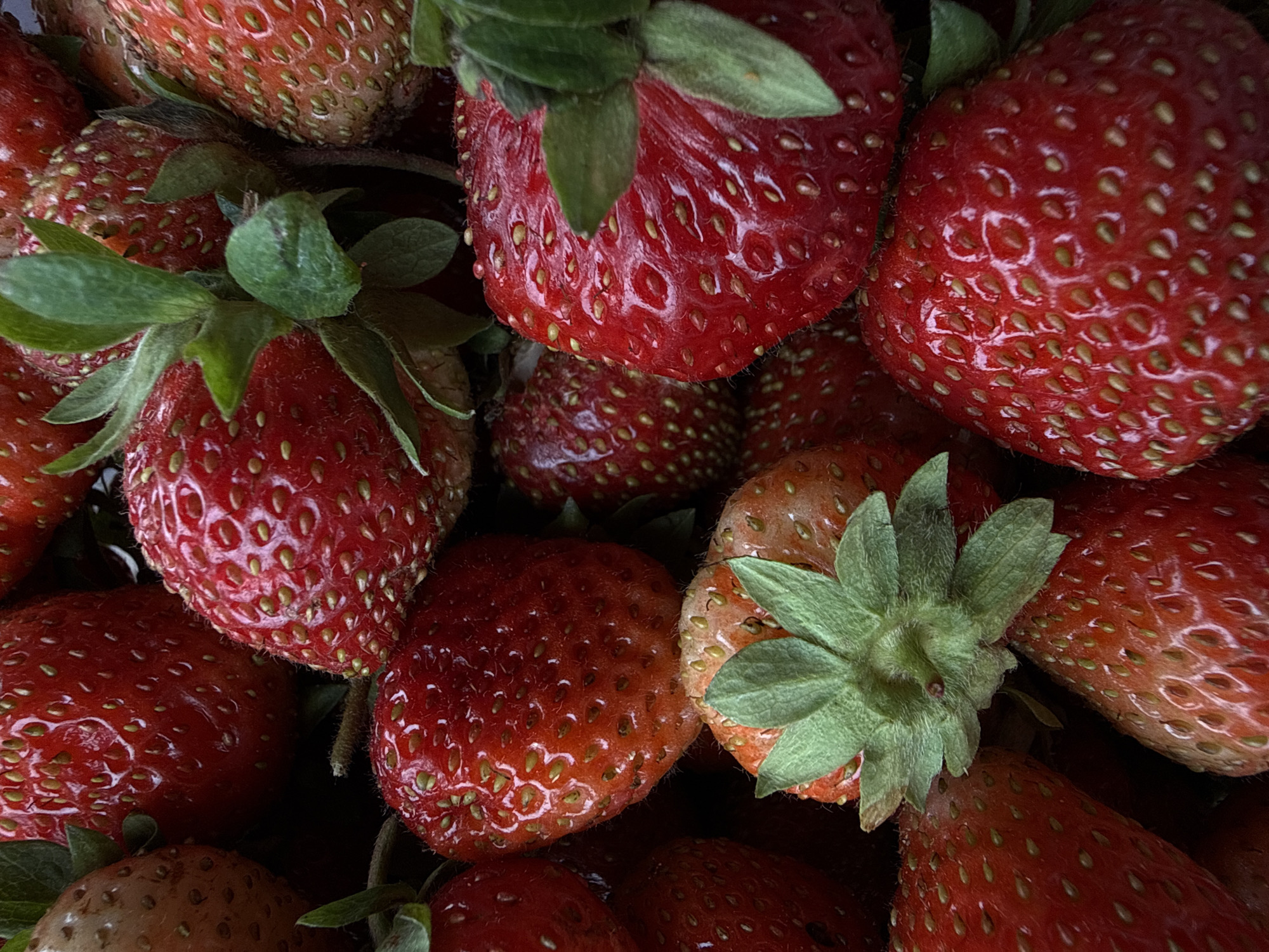 The image displays a close-up, overhead view of a pile of fresh strawberries. The strawberries are predominantly a vibrant red color, with some exhibiting lighter reddish-orange hues. Each strawberry is covered in numerous small, yellow seeds embedded in its surface. Green leafy tops are visible on some of the strawberries. The lighting suggests a natural, likely outdoor setting, with some shadows cast by the fruits themselves. The image does not contain any elements that suggest a location in Prikamskii, Russia, or any human presence or activity.