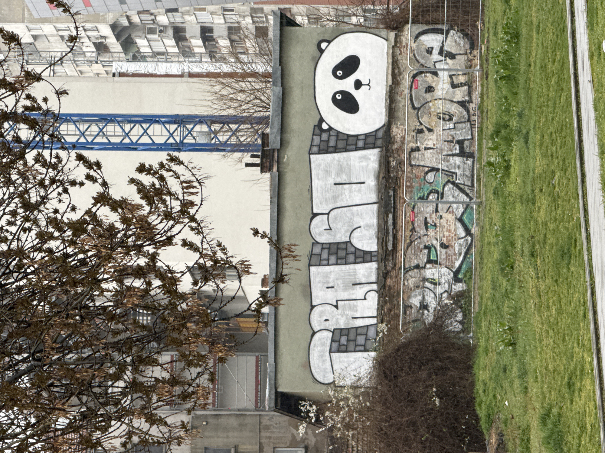 A vertically-oriented, medium-distance shot shows a section of an exterior wall with graffiti, adjacent to a grassy area. A stylized panda bear cartoon mural adorns the top portion of the wall, with large block letters painted beneath it. The wall is painted a light green color. To the right of the mural, there's more complex graffiti on a brick wall, partially obscured by a metal fence.
A grassy strip runs alongside the graffiti wall. A tree, its branches bare of leaves, occupies the left foreground, partially obscuring the view of buildings and a blue construction crane in the background. The buildings appear to be residential or commercial, with multiple stories and windows. The scene is in Sofia, Bulgaria.