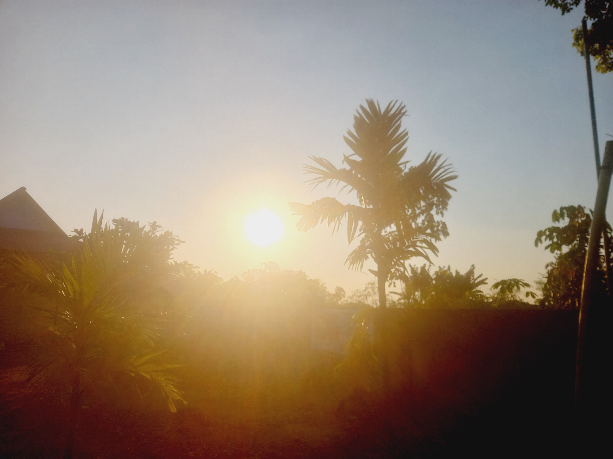 The image depicts a tropical outdoor scene at sunrise or sunset. The sun is prominently visible, casting a bright, warm glow that creates lens flare and illuminates the sky with a pale yellow and blue gradient. Silhouetted against the bright light are various palm trees and other foliage, their fronds and leaves clearly defined. In the foreground, a building with a triangular roof is partially visible on the left side. The ground appears to be earthy or grassy. The overall atmosphere is serene and highlights the natural beauty of the environment, likely in a rural or suburban area such as Kasang Pudak, Indonesia, given the tropical vegetation.