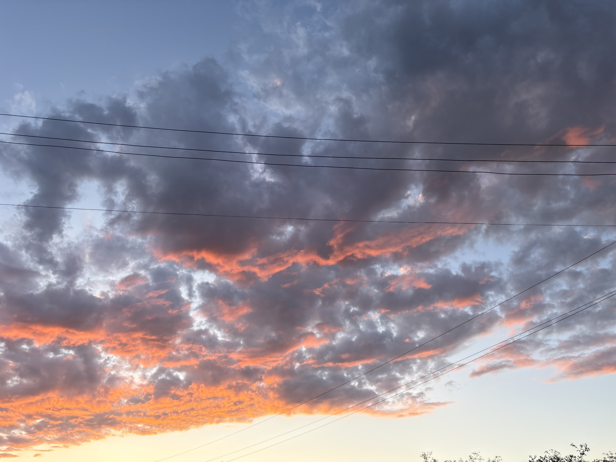 The image captures a vibrant and dramatic sunset or sunrise sky over Pchelnik, Bulgaria. The lower portion of the sky is illuminated with intense warm colors, featuring bright orange and yellow light at the horizon, transitioning upwards through shades of pink and red within the clouds. Higher in the sky, the clouds appear darker, ranging from grey to deeper blue, creating a striking contrast with the sunlit areas.
Multiple power lines, appearing as thin, dark horizontal streaks, traverse the mid-ground and lower part of the frame, silhouetted against the colorful sky. There are three prominent lines running almost parallel across the middle, with a fourth visible lower down against the bright orange clouds.
The clouds themselves are varied in shape and texture, with some appearing fluffy and brightly lit from below, while others are more diffuse and shadowed. Faint dark silhouettes of foliage, possibly treetops or bushes, are visible along the very bottom edge of the image. The scene evokes a sense of natural beauty and tranquility. No visible text is present in the image.