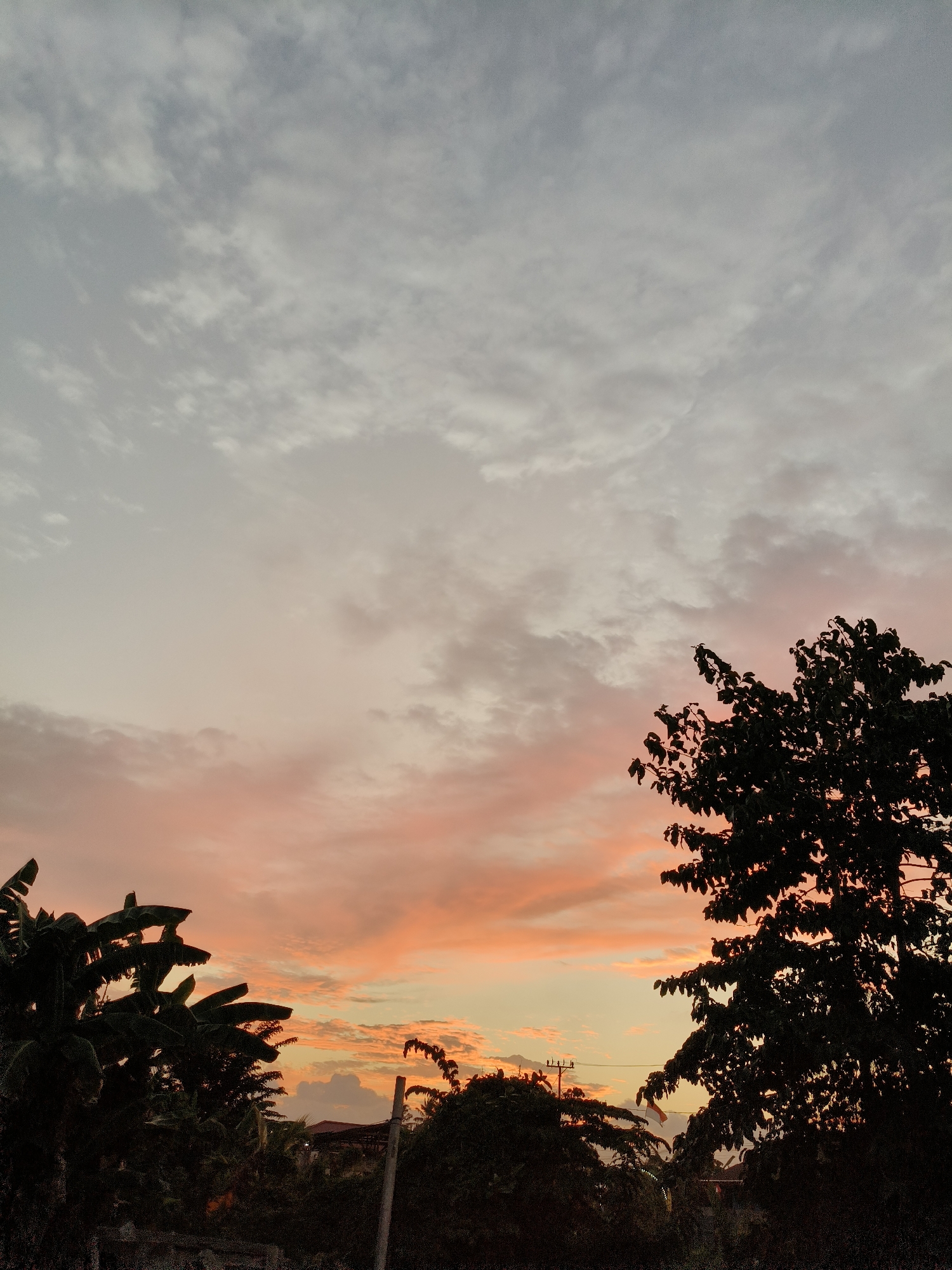 The image captures a sunset over Mariat Pantai, Indonesia. Silhouetted against a sky painted with hues of grey, pink, and orange, are the dense foliage of trees, including banana trees on the left and a large deciduous tree on the right. The tops of buildings and what appear to be utility poles are visible in the distance through the trees. The overall scene is serene, characteristic of a tropical evening.
