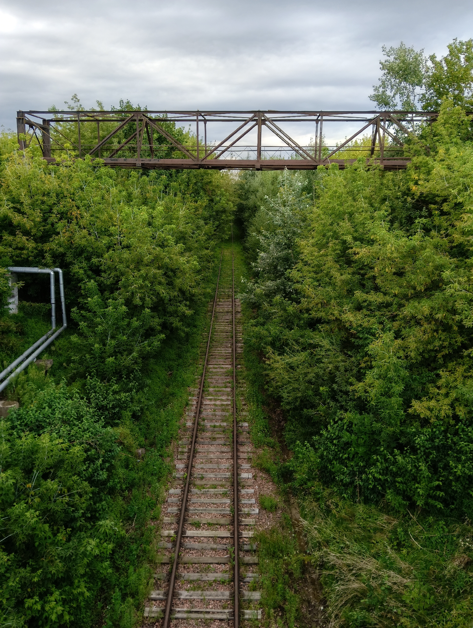 The image shows a view looking down an abandoned railway track surrounded by dense green foliage. A rusty metal bridge, likely a pedestrian overpass or a small railway bridge, is visible spanning over the tracks in the distance. The sky is overcast with grey clouds. On the left side of the track, there are two parallel metal pipes running along the embankment, suggesting some sort of utility infrastructure. The railway tracks themselves appear old and weathered, with wooden sleepers and ballast. The overall impression is one of nature reclaiming a disused industrial area. This scene is located in the city of Hrodna, Belarus, specifically in the vicinity of the former railway depot.
