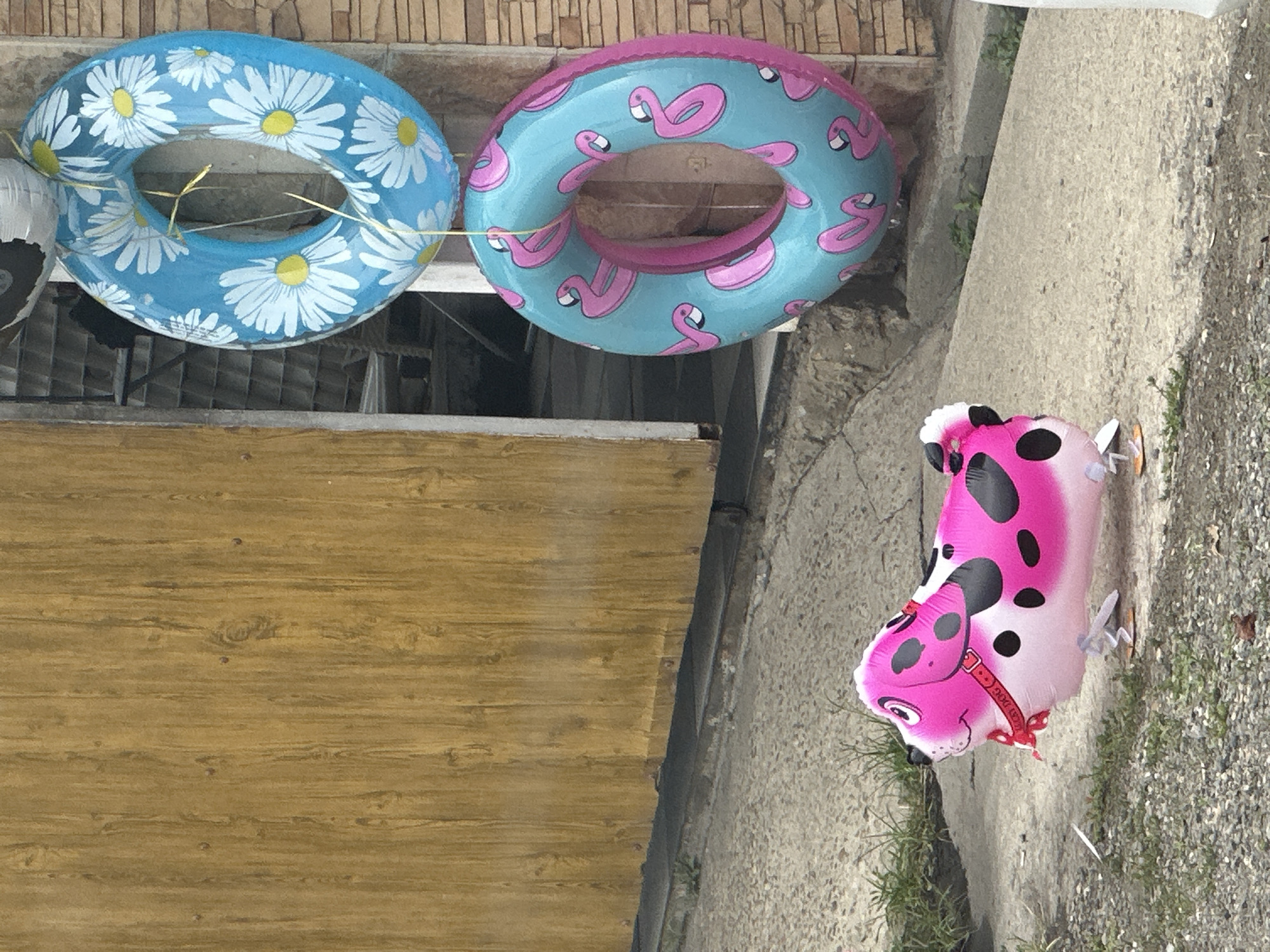 A pink and black spotted dog-shaped balloon stands on a concrete surface in front of a wooden door in Novotitarovskaya, Russia. Two inflatable rings, one blue with white daisies and the other blue with pink flamingos, hang suspended by strings above and to the right of the dog balloon. The scene appears to be outdoors, possibly near a storefront or entrance. The concrete ground is rough, with patches of grass and gravel. The wooden door has a vertical grain pattern. The context suggests a casual outdoor display of party decorations.