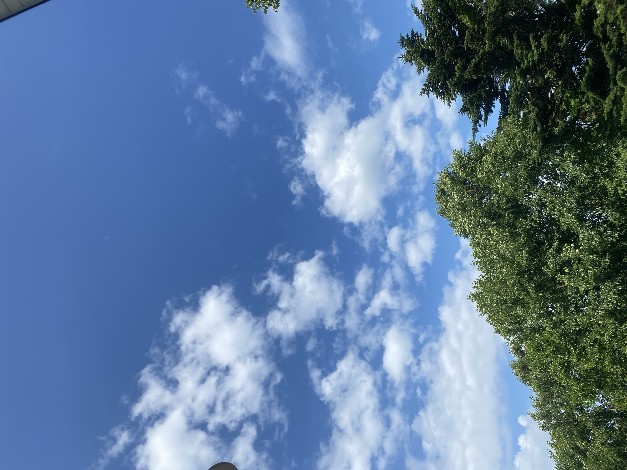 The image depicts a clear blue sky with scattered white clouds, typical of a sunny day. Below the sky, the tops of several lush green trees are visible. The trees are dense and leafy, with one appearing to be a coniferous tree with dark green needles and the other a deciduous tree with lighter green foliage. A hint of a grey, circular object, possibly a street lamp, is visible on the far left edge of the frame. The scene suggests an outdoor environment, likely a park or residential area within the city of Tret’ya Pad’, Russia, given the context provided. There are no people or animals visible in the image, and no specific actions or interactions are occurring. The overall impression is one of a tranquil, natural setting.