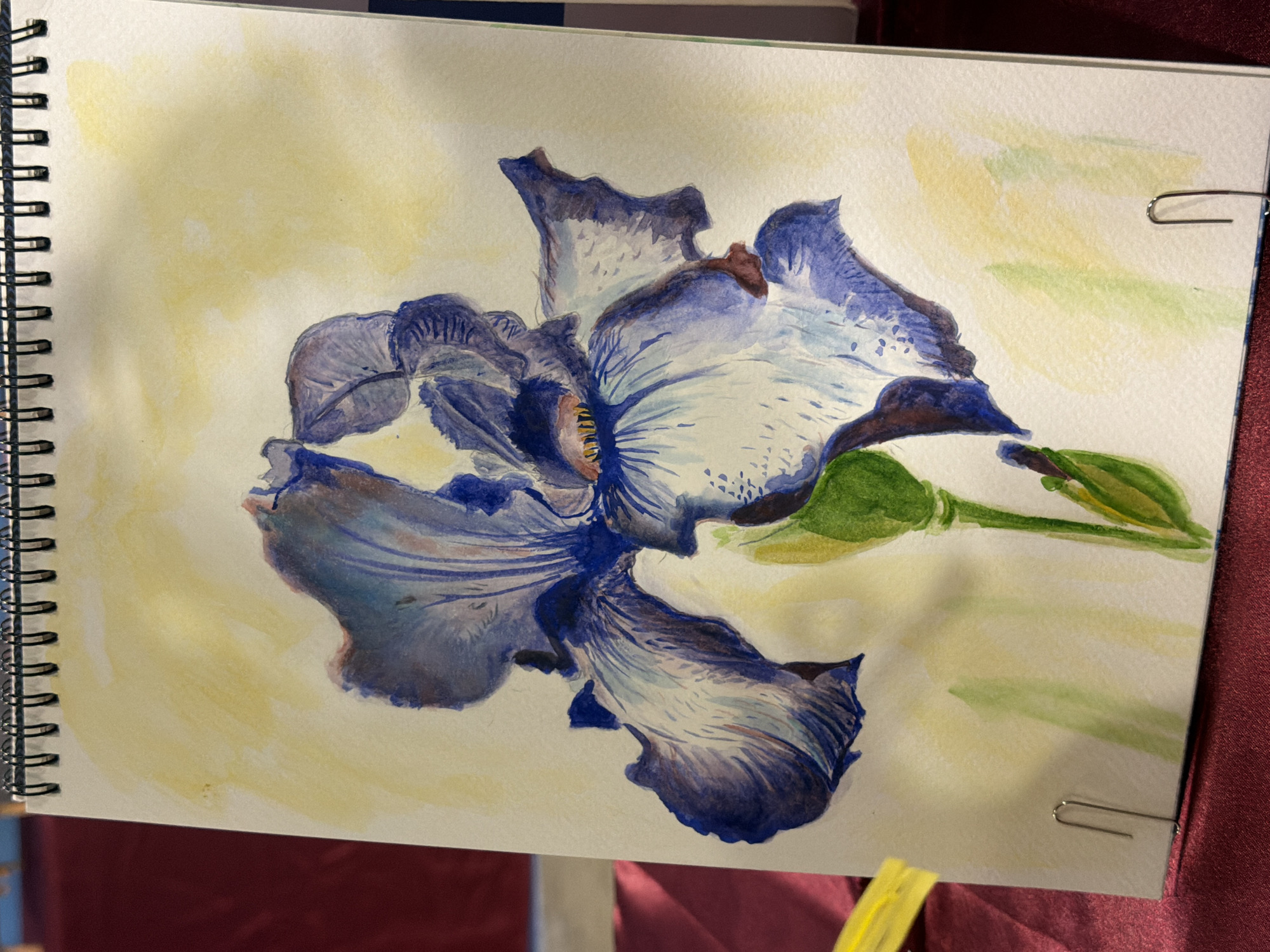 A watercolor painting of a single purple iris with a yellow-green stem and leaves is presented in a spiral-bound sketchbook. The background of the painting is a wash of pale yellow and light green. The sketchbook is resting on a dark red fabric surface, possibly a tablecloth or runner. A yellow object, possibly a ribbon or fabric strip, is visible on the left side of the image, partially overlapping the sketchbook. Two silver paper clips are securing the page of the sketchbook. The overall lighting suggests an indoor setting. The image does not contain any information or visual cues that would allow for determining its location in the city of Elx / Elche, Spain.