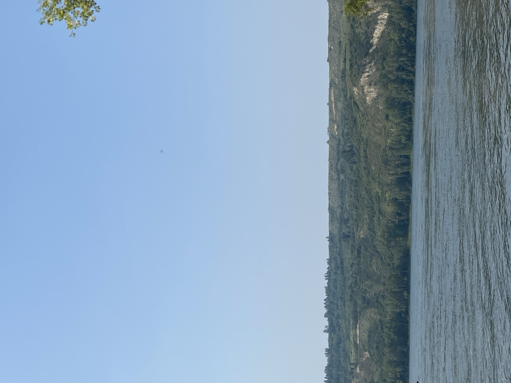 The image depicts a wide river with rippling water in the foreground. In the background, a lush, green, forested hillside rises, dotted with trees. The top of the hill is capped by a lighter-colored, eroded cliff face. The sky is a clear, pale blue. A small portion of a tree with green leaves is visible in the upper right corner of the image. The scene is a natural landscape, likely a riverbank in a rural or natural setting, and no specific structures or urban elements are visible.