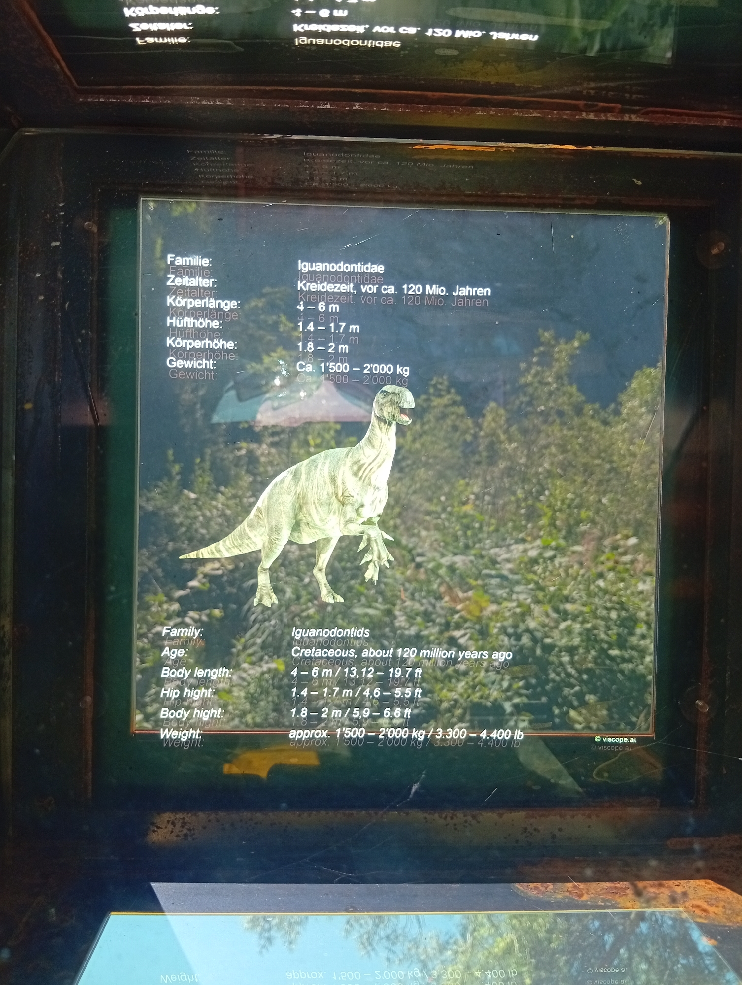The image shows an information display at what appears to be a museum or attraction in Emmetten, Switzerland. The display features a close-up of a dinosaur illustration, likely an Iguanodontid, with accompanying text in both German and English. The text provides details about the dinosaur's family, age, body length, hip height, and weight, specifying it lived during the Cretaceous period, approximately 120 million years ago. The English text indicates a body length of 4-6 meters (13.12-19.7 ft), hip height of 1.4-1.7 meters (4.6-5.5 ft), and a weight of approximately 1500-2000 kg (3300-4400 lb). The background of the display shows a blurred image of foliage and trees, suggesting an outdoor or natural setting. A watermark at the bottom right corner reads "© viscope.at". The overall presentation suggests an educational exhibit designed to inform visitors about prehistoric life.