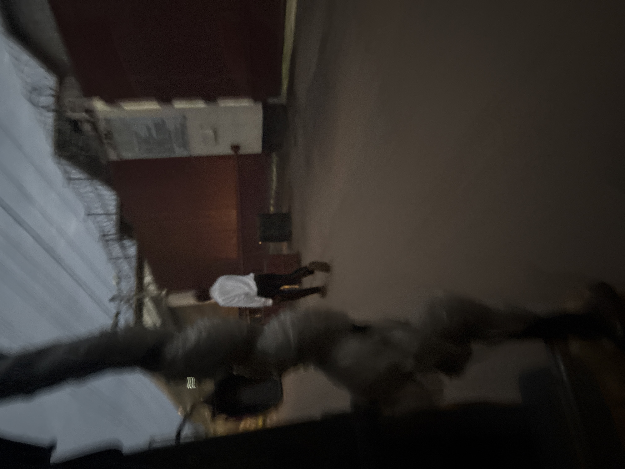 The image depicts a street scene in Onitsha, Nigeria, with a person walking away from the camera. The individual is wearing a white shirt and dark trousers, with dark shoes. They appear to be in motion, walking on a paved surface that could be a road or sidewalk. In the background, a large, dark red wall dominates the scene, possibly part of a building or enclosure. Above the wall, a barbed wire fence is visible, suggesting a secured area. A tall, white structure with text on it stands to the right of the wall. The overall lighting suggests it is either early morning or late evening. The foreground is partially obscured by a dark, blurry object, likely part of the vehicle from which the photo was taken, and a fuzzy, dark structure that appears to be a tree or large plant. The sky is overcast and grey.