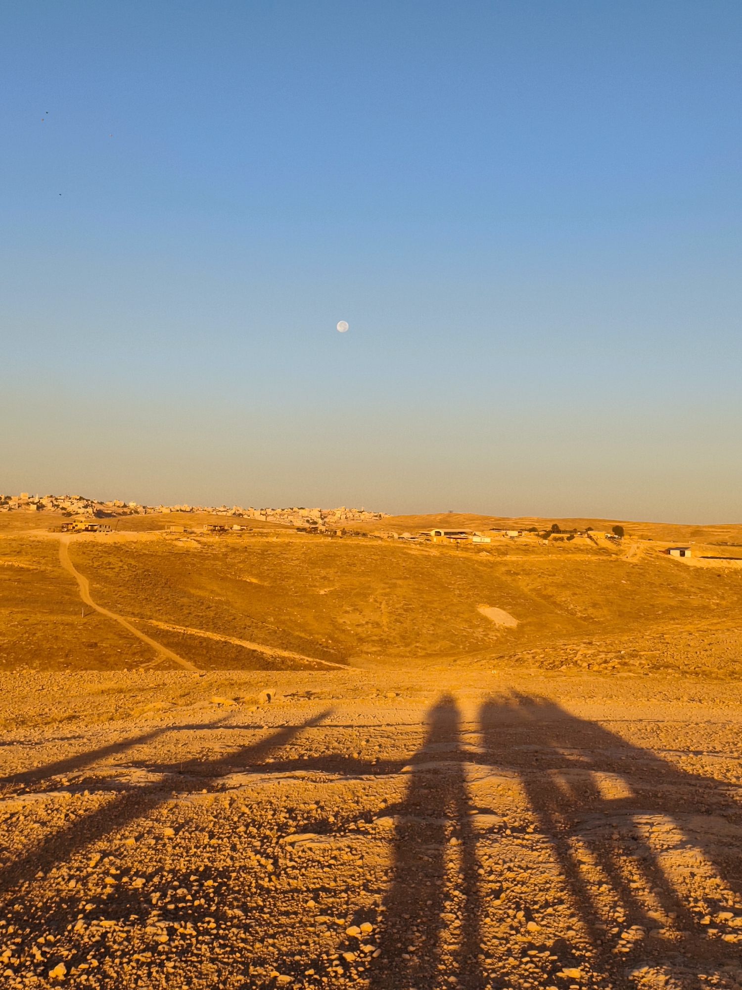 The image depicts a sunlit, arid landscape with rolling hills and scattered structures resembling buildings, suggesting a settlement or village in the distance. The foreground is dominated by rough, rocky terrain casting long shadows of two individuals, implying the presence of at least two people. The sky is clear and blue, with the moon faintly visible during what appears to be either sunrise or sunset due to the warm, golden light illuminating the scene. The overall impression is one of a rural or semi-urban environment in a dry climate.