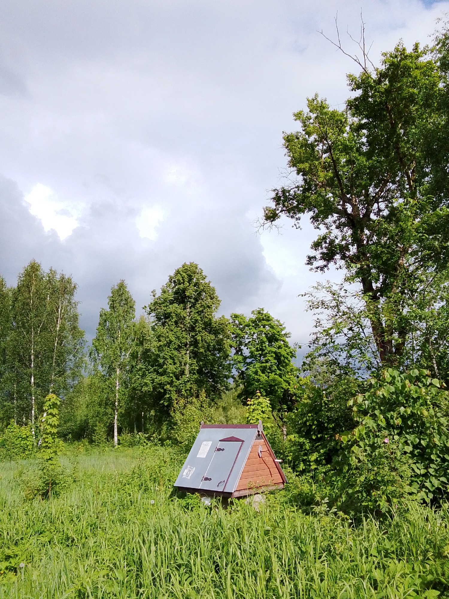 A medium, eye-level shot captures a small, A-frame structure in a field of tall green grass, located in 1-Go Maya, Russia. The structure appears to be a well house, with two metal, gray-colored panels covering the angled roof and a wooden, red-brown structure for the walls. The grass reaches halfway up the structure.
Behind the well house, a line of green trees and shrubs extends across the horizon. There are taller trees on the right and left. The sky is overcast with gray and white clouds.