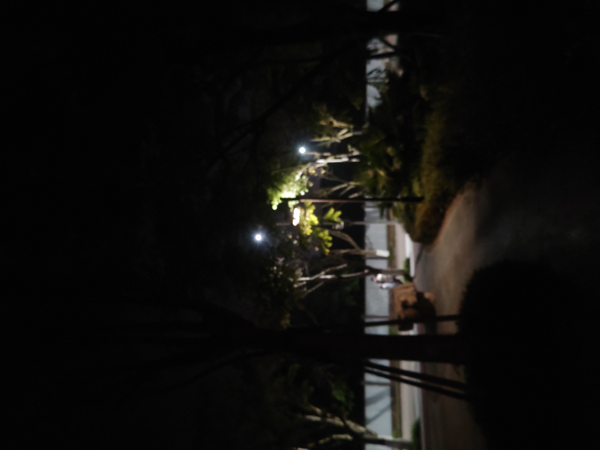 The image shows an outdoor scene at night in Chongqing High-tech Zone, China. A pathway illuminated by streetlights is visible, lined with trees. A figure is seen walking along the pathway. The surroundings are dark, with foliage present.