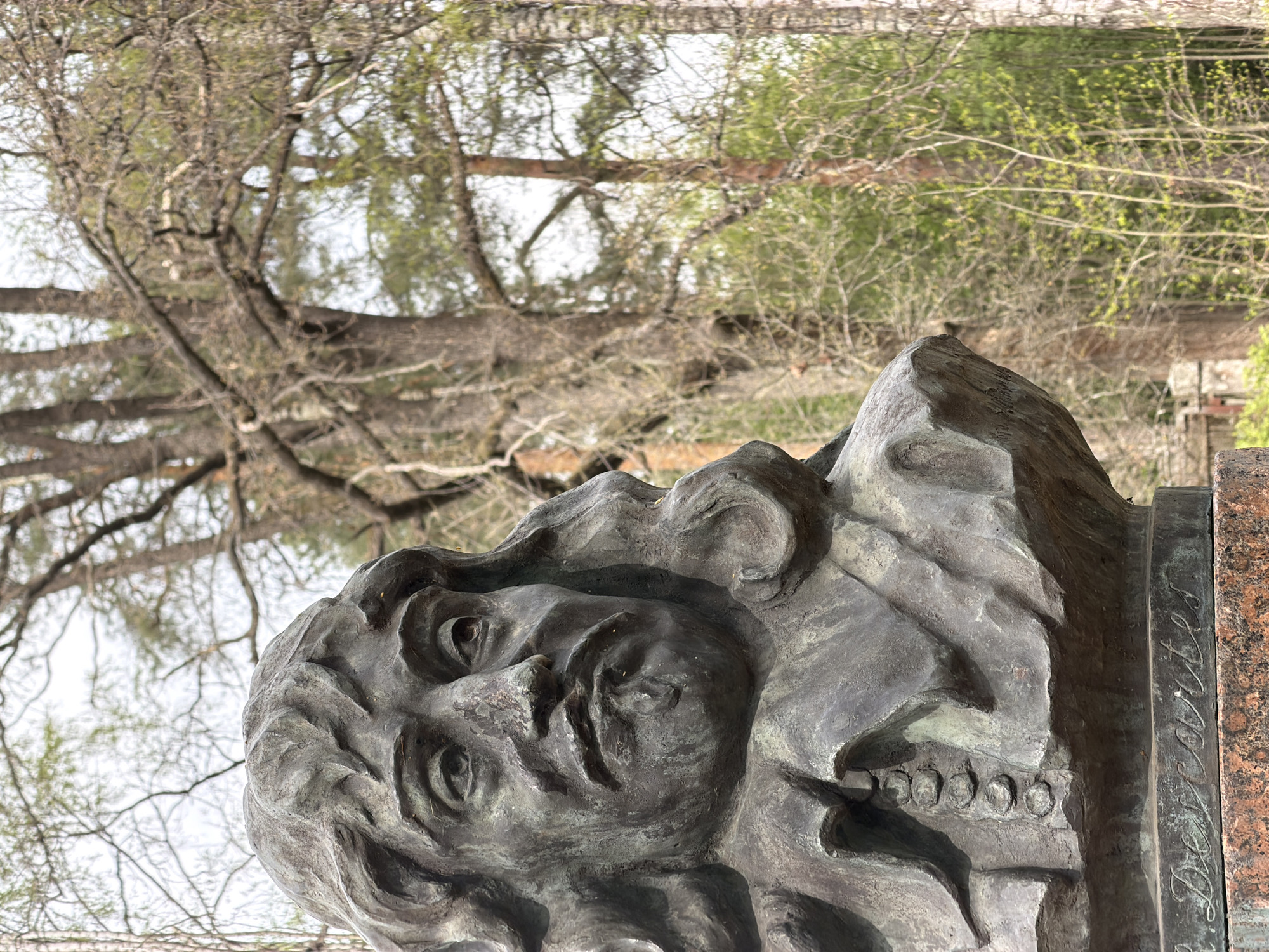 A close-up, upside-down shot of a bronze sculpture of a man's head with the surrounding environment. The sculpture is a realistic depiction of a man with wavy hair. In the background, there are trees with bare branches and some green foliage. The sculpture is a memorial to a man named P.P. Devittes, the memorial is located in the city of Pavlovo, Russia.