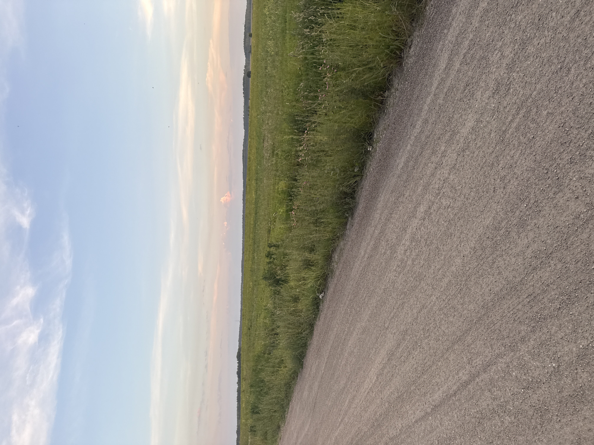 The image depicts a dirt road leading towards a vast, grassy field under a soft, pastel-colored sky. The road, composed of gravel and dirt, occupies the foreground, angled from the lower left to the upper right of the frame. Beyond the road, the field is dense with green grass and various wildflowers, stretching horizontally across the midground and background. The horizon is marked by a line of trees and the subtle contours of the land. The sky above is a gradient of light blue at the top, transitioning to soft pinks and whites near the horizon, with wispy clouds scattered throughout. No people, animals, or man-made structures are clearly visible in the scene, suggesting a natural, rural or semi-rural environment. The lighting suggests it is either sunrise or sunset, creating a tranquil and serene atmosphere. The location is stated to be in Murom, Russia, implying a landscape typical of that region.