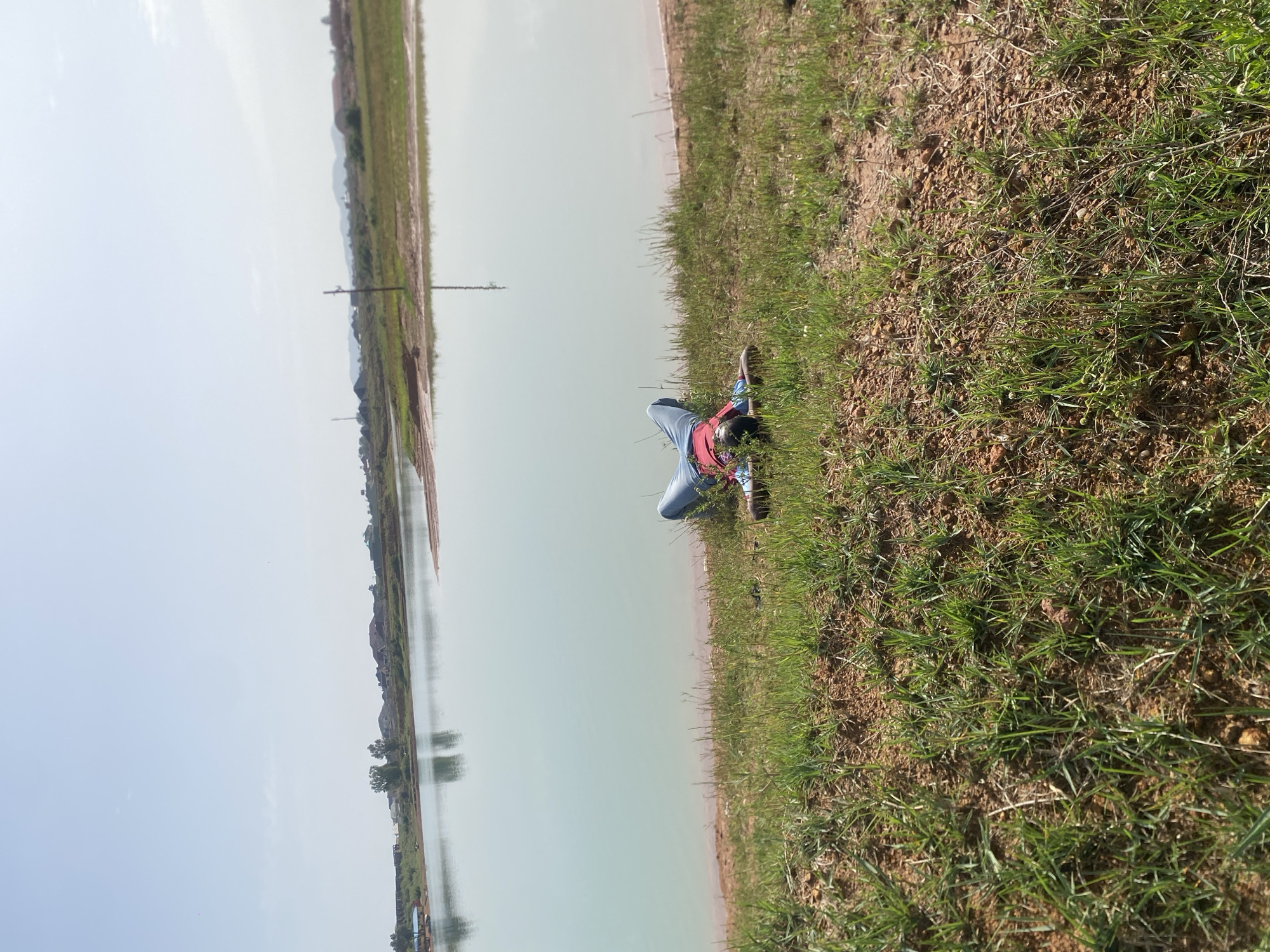 A body lies on a grassy bank next to a body of water. The body is dressed in blue jeans, red and black top, and grey shoes. The body of water is light green and stretches across the image. On the far side of the water, there are trees and what appears to be some type of structure. A utility pole is visible on the left side of the frame. The sky is a light blue with a few clouds. The location is Unknown, Unknown.