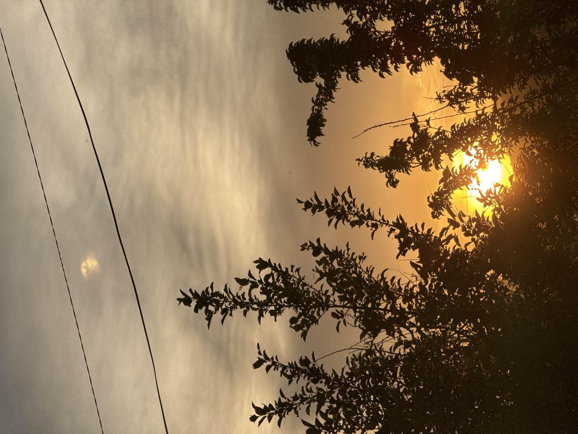 The image depicts a silhouetted view of trees against a sunset sky. Two power lines stretch horizontally across the upper portion of the frame. The sun is visible near the center-right of the image, casting a warm glow through the leaves of the trees. The sky is a gradient of orange and yellow, with some clouds present. The location is identified as Солонешное, Russia. There are no people or animals visible in the image. The overall scene is one of nature at dusk.