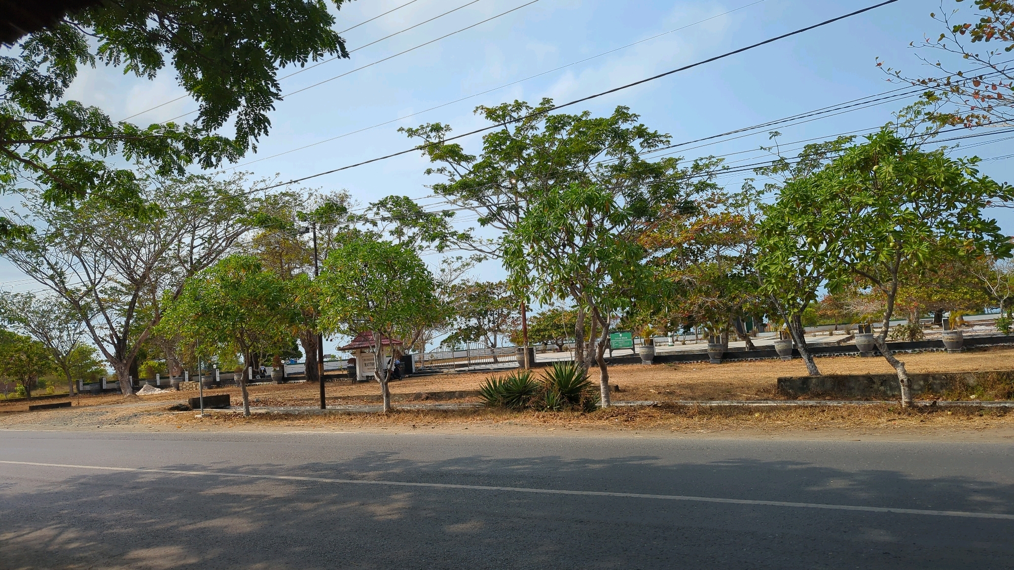 The image depicts a roadside scene in Muara Pagatan, Indonesia, under a clear blue sky. A paved road occupies the foreground, with shadows from overhead foliage cast across its surface. Beyond the road is a slightly elevated area with dry, sparse vegetation and several trees. Some of these trees are full and green, while others have lost most of their leaves, displaying bare branches. In the background, there are structures that appear to be small pavilions or shelters, some with signs, and a low fence delineates the park-like area from what may be a parking lot or open space further back. Power lines stretch across the sky above the trees. The overall impression is one of a tropical, possibly semi-arid, urban fringe environment during the daytime. There are no people clearly visible in the frame.