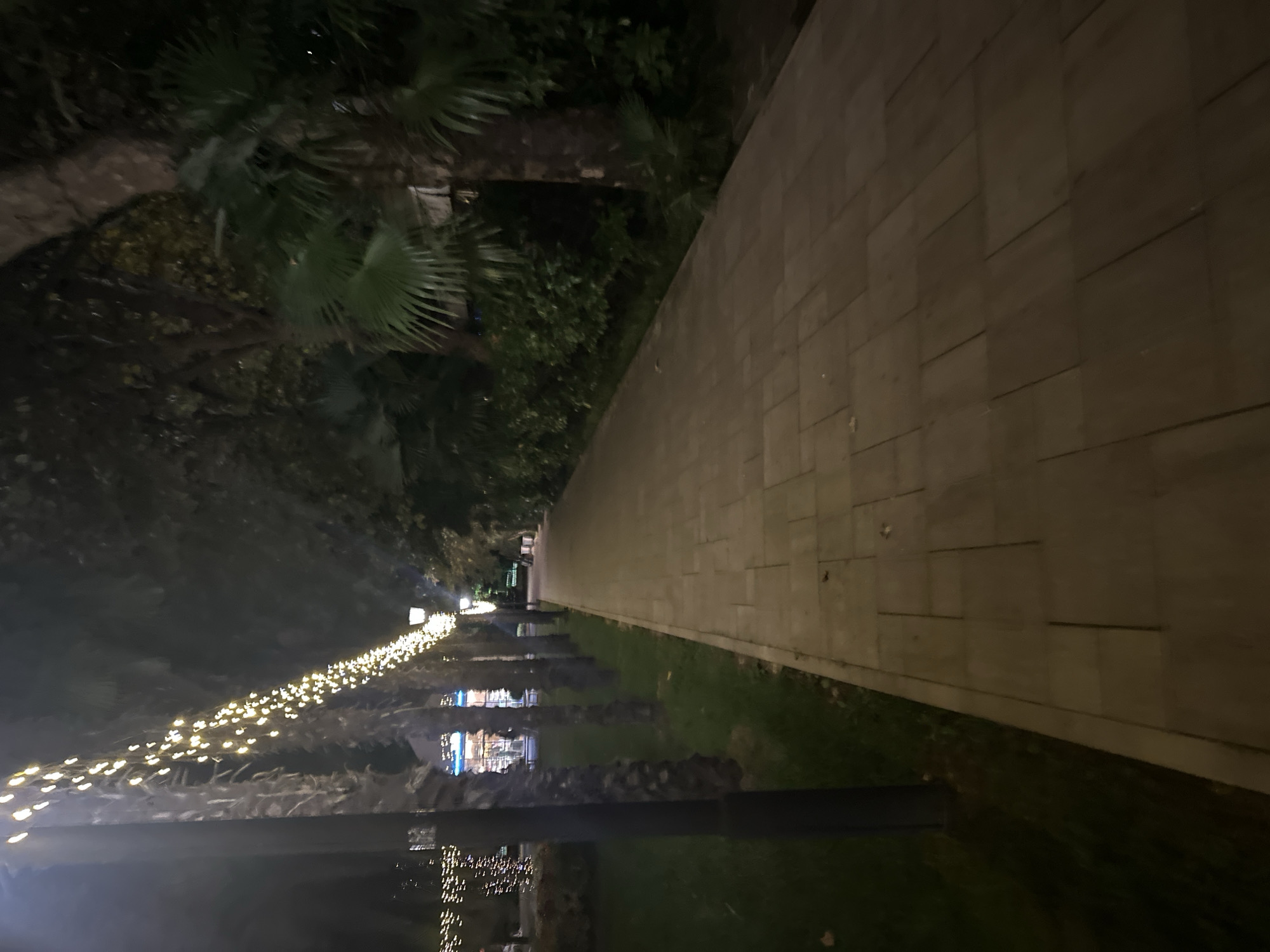 A paved walkway with a slight incline is illuminated by streetlights and decorative string lights. The walkway is bordered on the left by a grassy area with several palm trees, some of which are adorned with string lights. Beyond the palm trees, a building with illuminated windows and a marquee can be seen. On the right side of the walkway, there is dense foliage and more trees, including palm trees with their characteristic fronds. The scene is set at night, with the ambient lighting creating a festive atmosphere. The location is in the city of Sochi, Russia.