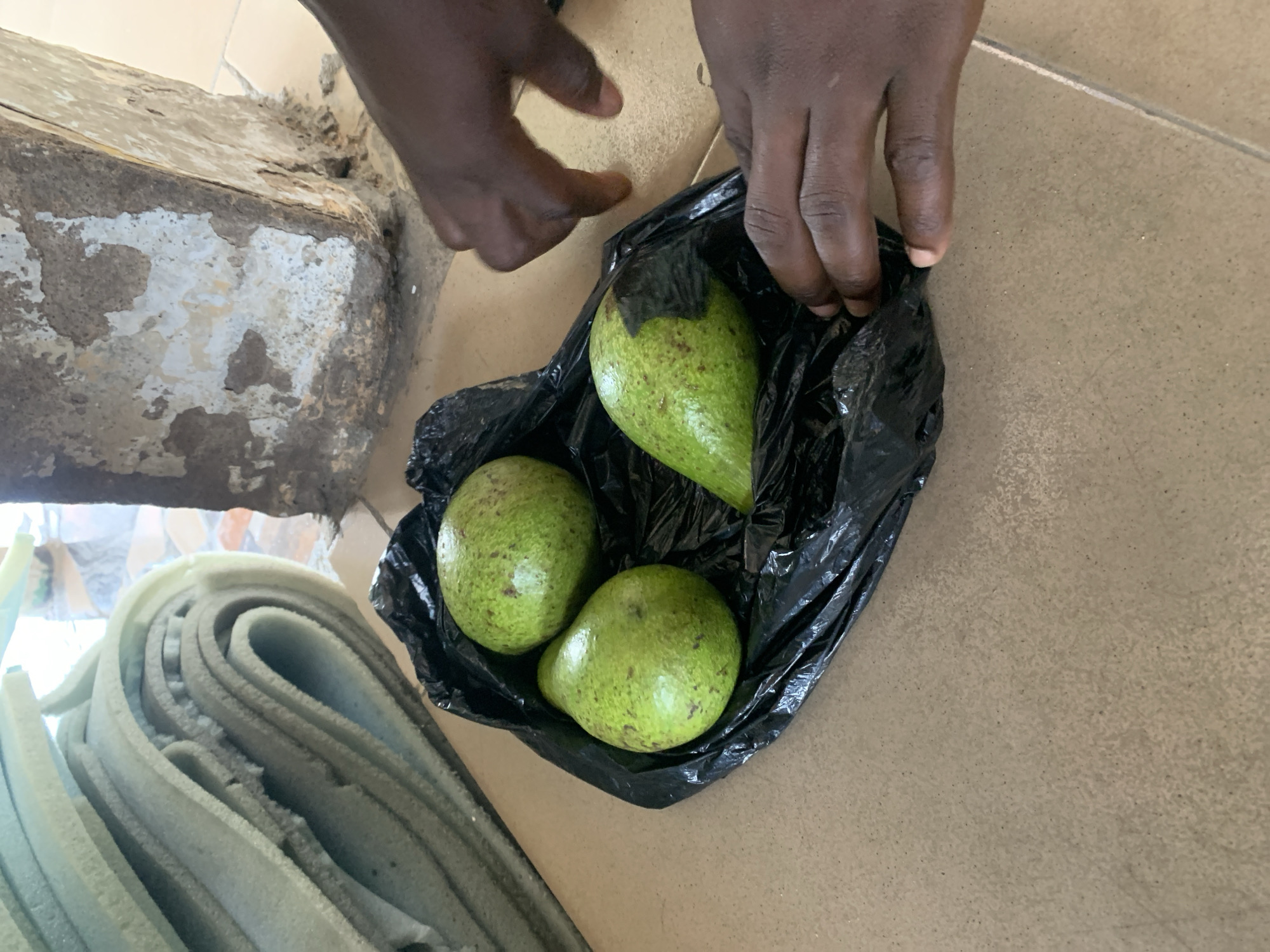 Three green avocados are shown in a black plastic bag on a tiled floor. To the left, there is a stack of rolled-up foam mats. To the right, a person's hands are visible, one hand reaching towards the avocados in the bag, and another hand slightly above. In the background, a rough, weathered concrete pillar with peeling paint stands beside the avocados. The setting appears to be outdoors or in an open-air market given the materials and lighting.