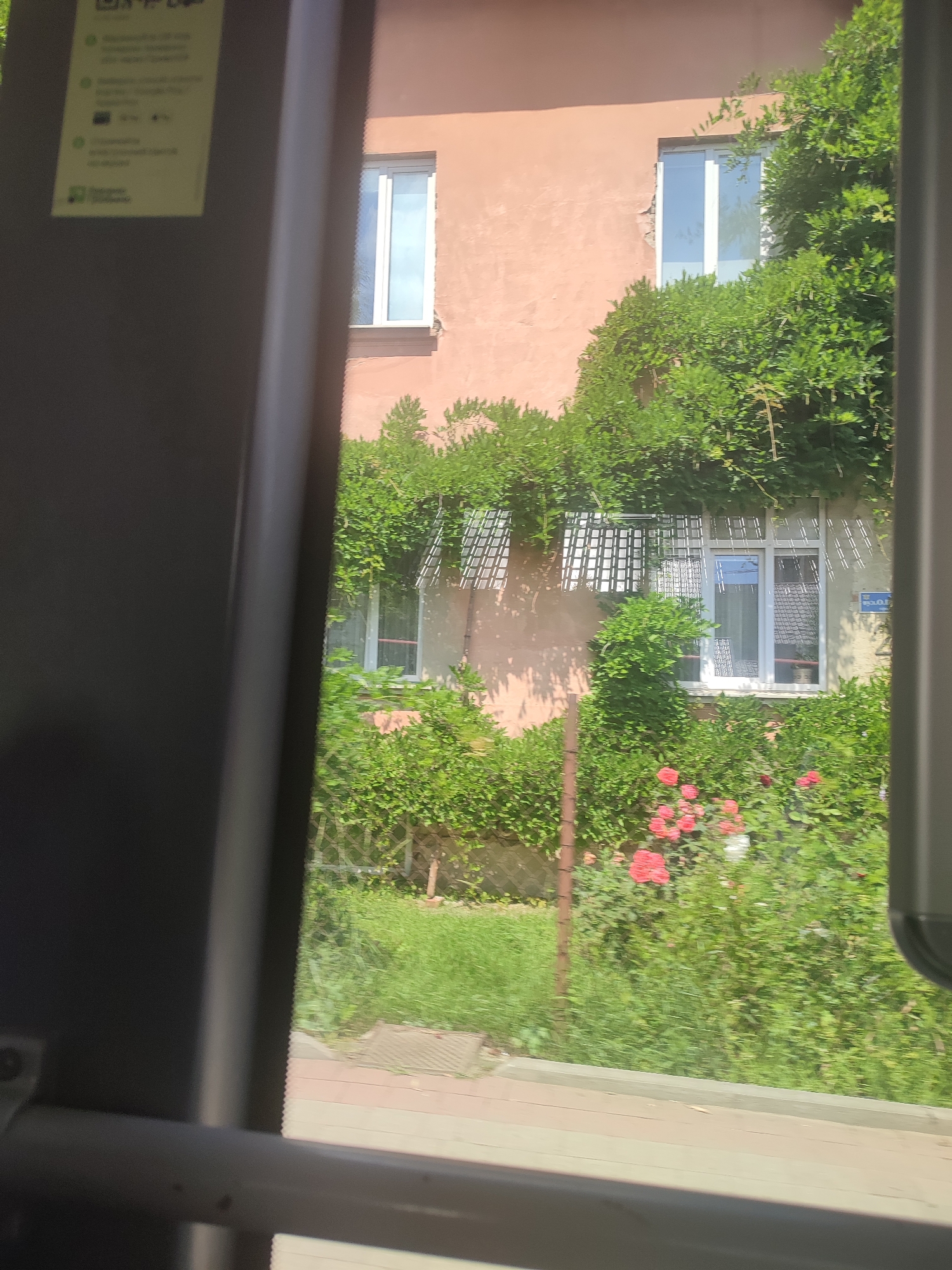 The image shows a building covered in greenery and flowers. There are several windows visible on the building's facade. In the foreground, there is a blurred view of what appears to be the interior of a vehicle, with a window offering a glimpse of the outside scene. The greenery consists of lush bushes and vines, with pink roses blooming in the lower section of the image. A street sign with Cyrillic lettering is partially visible on the building wall. The overall impression is one of a vibrant and overgrown urban garden.