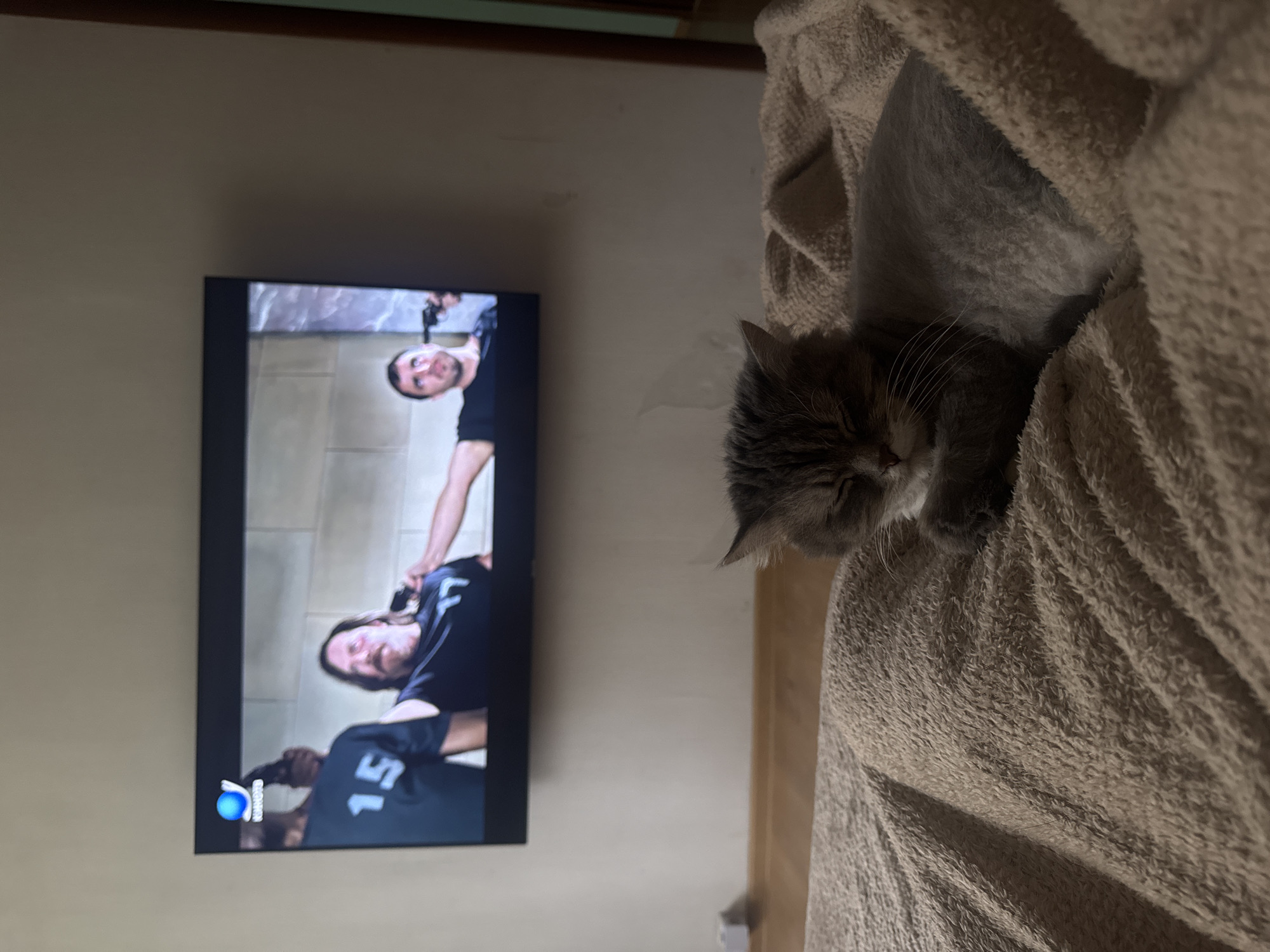 The image shows an indoor scene, likely a living room or bedroom in Moscow, Russia. On the right, a gray-furred cat is sleeping soundly, nestled comfortably in a textured, light brown or beige blanket, with its eyes closed. Its posture suggests deep relaxation and coziness.
To the left, a flat-screen television is mounted on a plain, light-colored wall. The TV screen displays a program featuring two men. The upper man has a beard and dark hair, looking towards the viewer. The lower man has long dark hair and is wearing a dark athletic-style shirt with the number "15" clearly visible on the back or sleeve. He appears to be in a dynamic pose, possibly engaged in a workout or stretching. In the bottom left corner of the TV screen, a blue circular logo is visible, containing white text that appears to be "GLOBAL" (partially cropped) and a white symbol, indicating a television channel or network.
A dark wooden beam or trim runs horizontally along the top edge of the wall, and a small white wall fixture is present below the cat's level. The overall atmosphere of the scene is tranquil and domestic. The photograph itself is presented in a portrait orientation, causing the elements to appear rotated 90 degrees clockwise from their typical horizontal viewing.