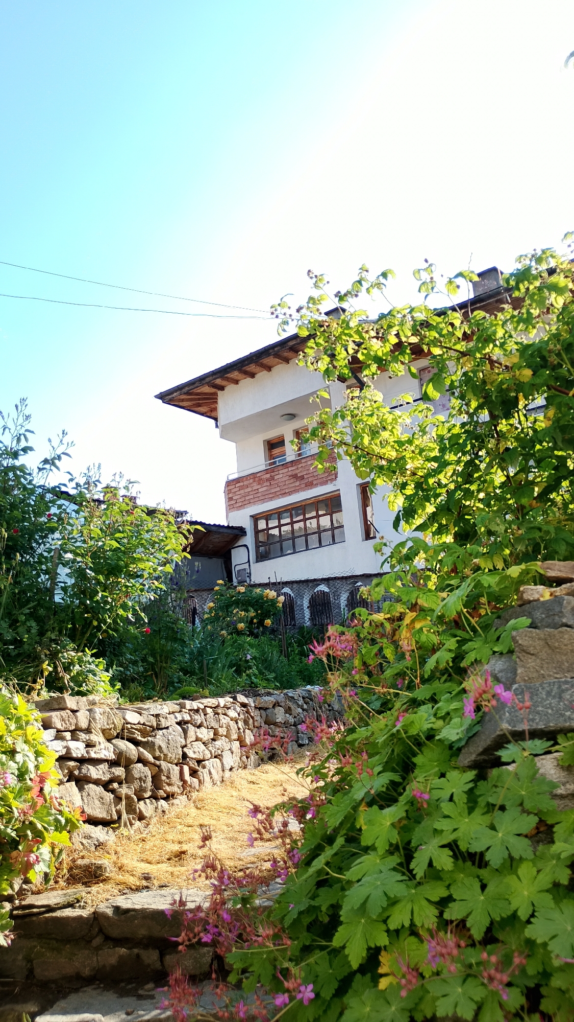 The image depicts a view of a two-story house in the city of Smolyan, Bulgaria, bathed in sunlight. The house, painted white with a tiled roof, features a prominent balcony with brick accents and large windows. Lush green vegetation, including trees and flowering plants with pink blossoms, surrounds the structure. A stone wall runs along a pathway leading towards the house, with dry grass or straw scattered on the ground. The sky is clear and blue. The overall impression is a peaceful, rural setting.