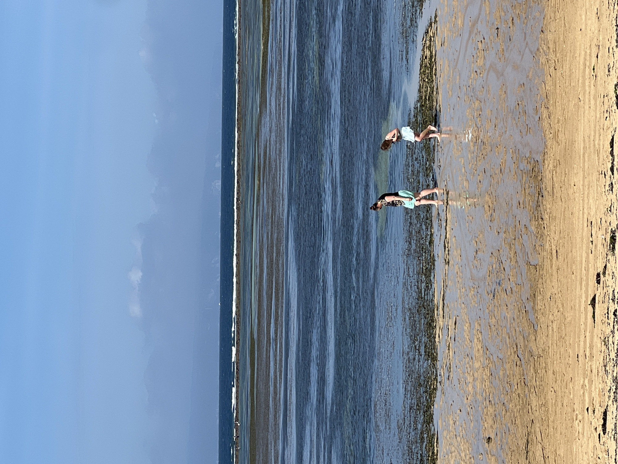 This is a vertical, eye-level, full-shot photograph taken at low tide on a sandy beach in Denpasar, Indonesia. Two individuals are walking on the wet sand and shallow water. The person on the left, who appears to be an adult, is wearing a black and patterned top and light blue shorts. The person on the right, also appearing to be an adult, is wearing a light blue dress. Both are facing away from the camera and towards the water. The environment consists of a sandy foreground, a shallow body of water with visible seaweed or aquatic plants, and a darker, deeper ocean in the background. The sky is a clear blue with scattered, wispy clouds. In the distance, a faint landmass is visible on the horizon. The overall scene depicts a serene coastal landscape during daylight.